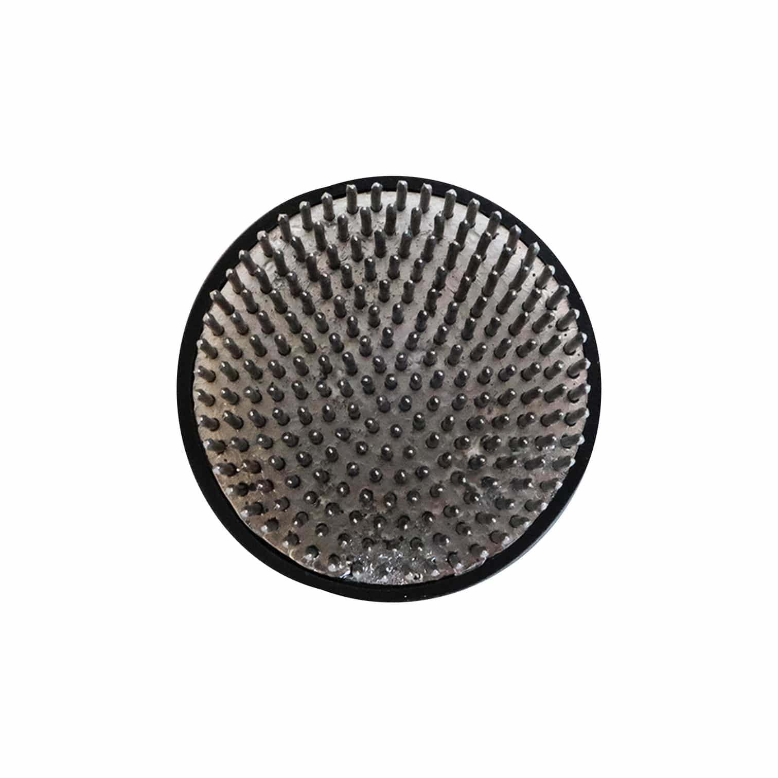 Camilia Supply Kenzans La Bomba Floristry Vancouver Canada