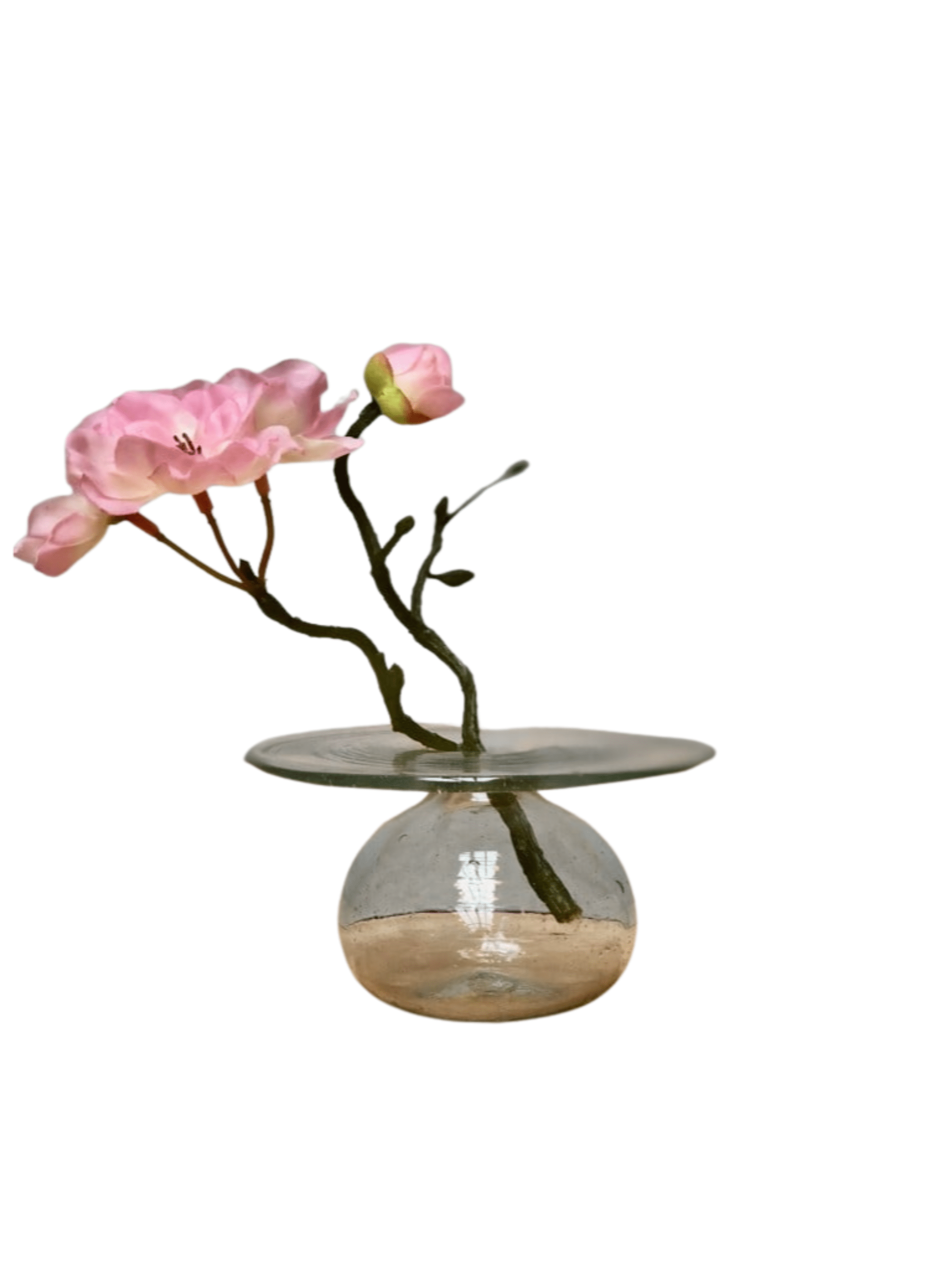 La Bomba Floristry La Soufflerie CD Transparent Bud Vase La Bomba Floristry Vancouver Canada La Soufflerie CD Transparent Bud Vase