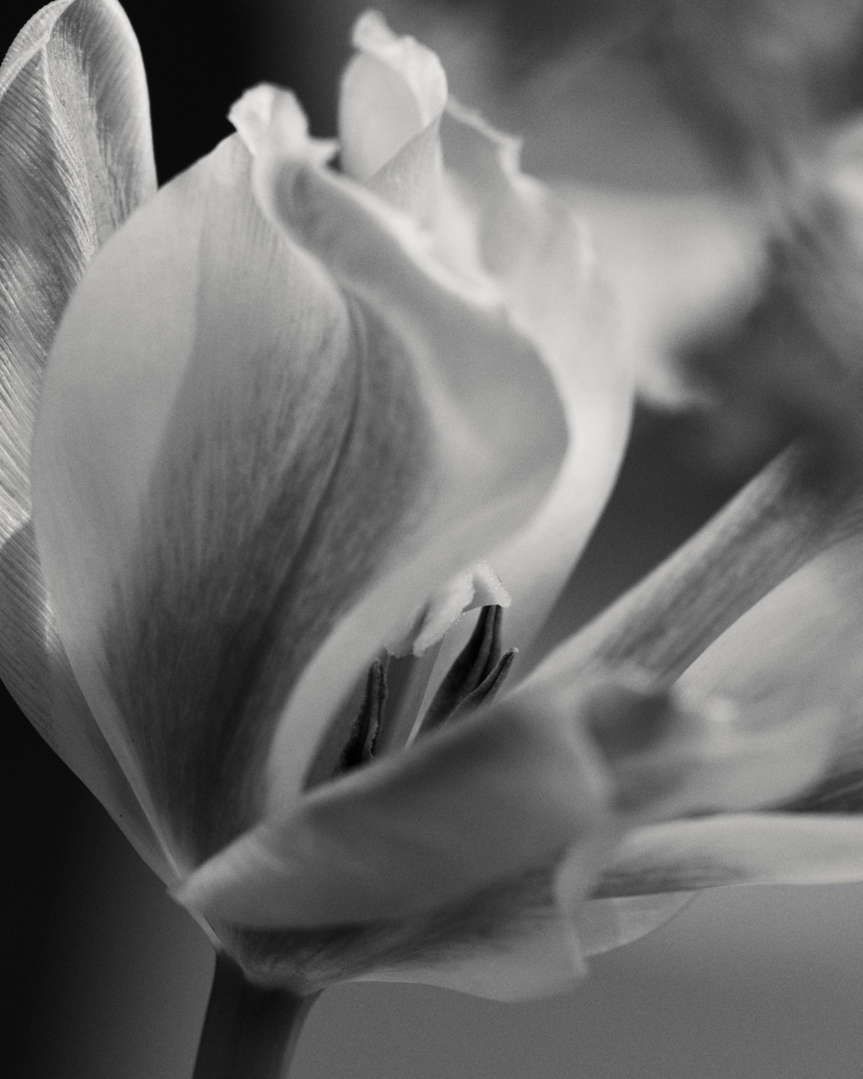 La Bomba Floristry Workshops SUMMER EDITION 
| Date: August 7th, 2022 La Bomba Floristry Vancouver Canada