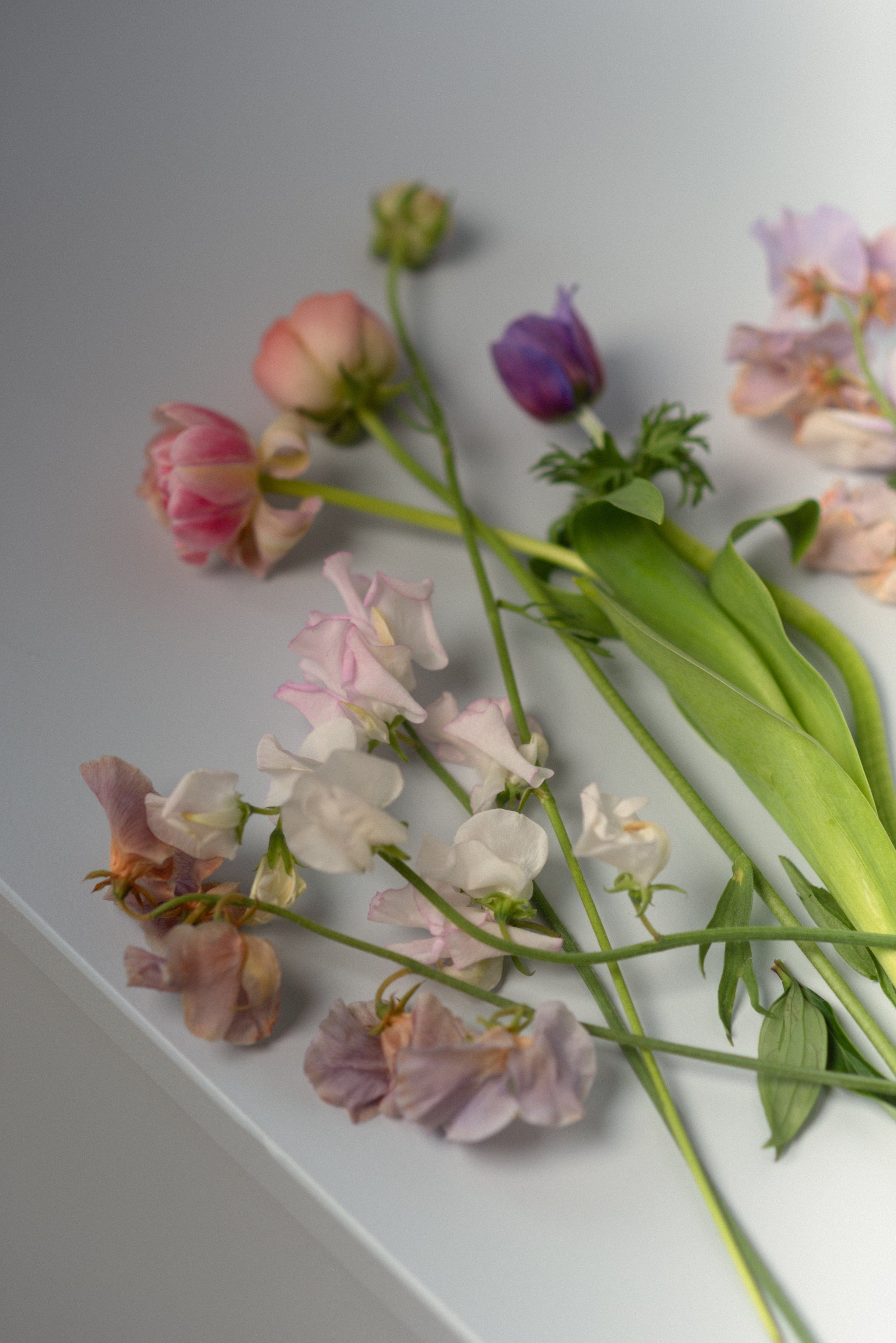 La Bomba Floristry Workshops SUMMER EDITION 
| Date: July 24th, 2022 La Bomba Floristry Vancouver Canada