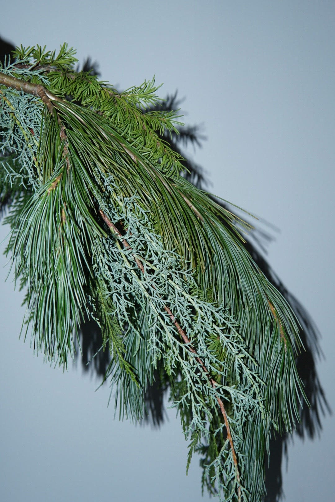 Holiday Greenery Bundle