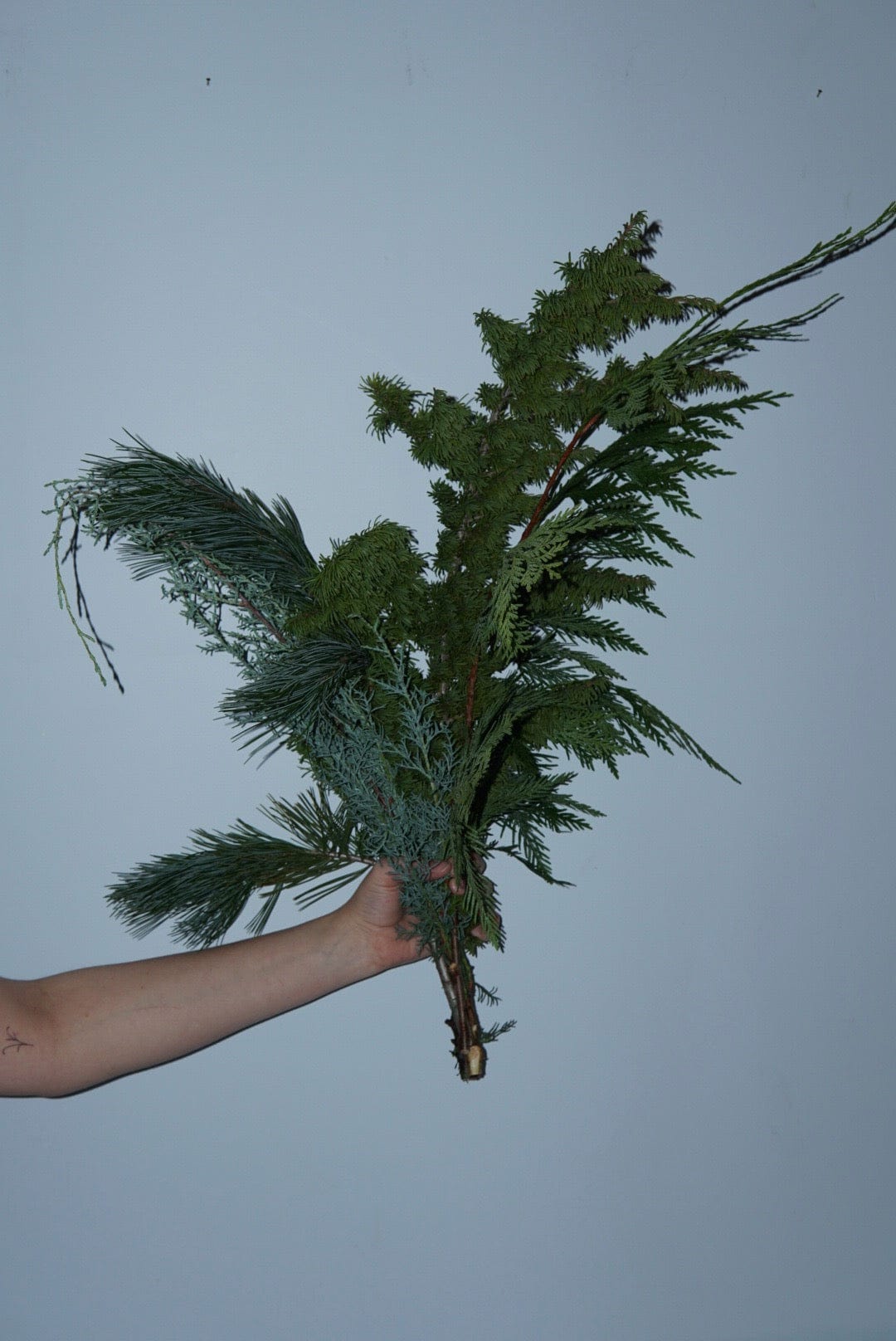 Holiday Greenery Bundle
