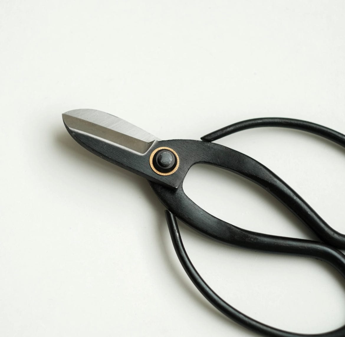Camilia Supply Ikebana Scissors - Wide La Bomba Floristry Vancouver Canada