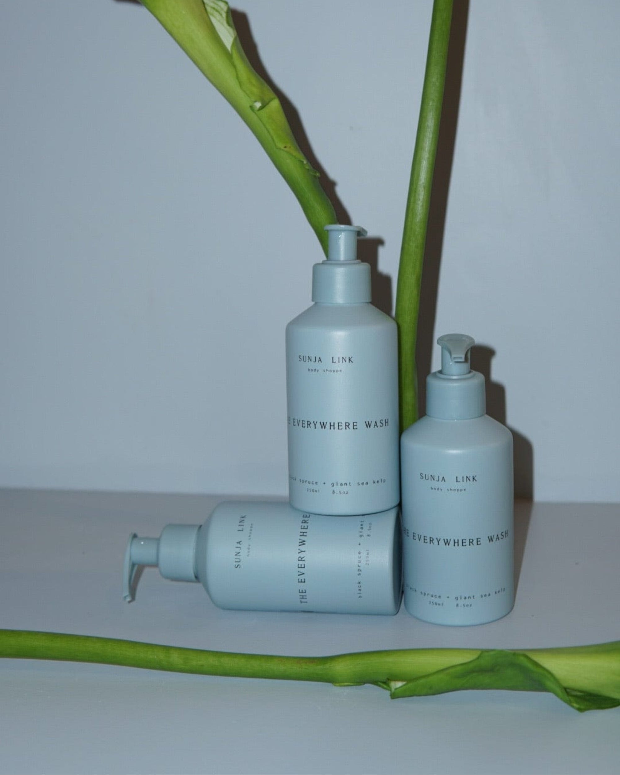 Frama Sunja Link Body Shoppe - The Everywhere Lotion 250ml La Bomba Floristry Vancouver Canada