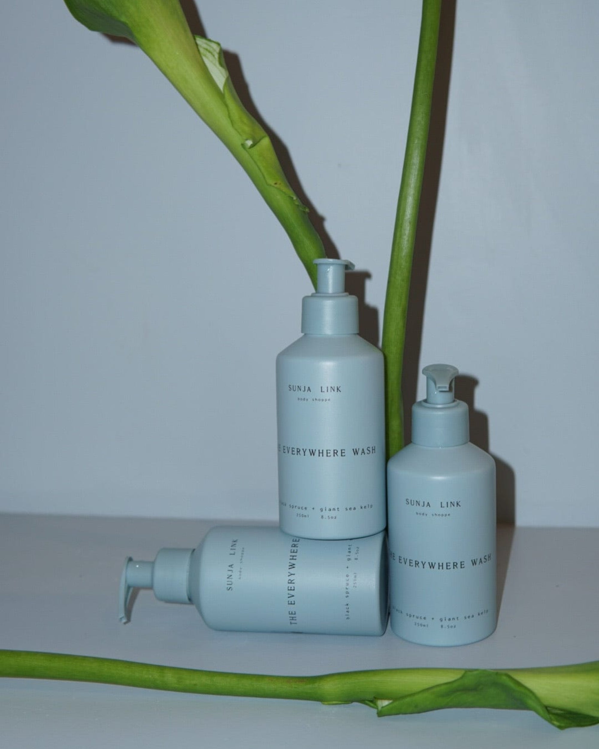 Frama Sunja Link Body Shoppe - The Everywhere Wash 250ml La Bomba Floristry Vancouver Canada