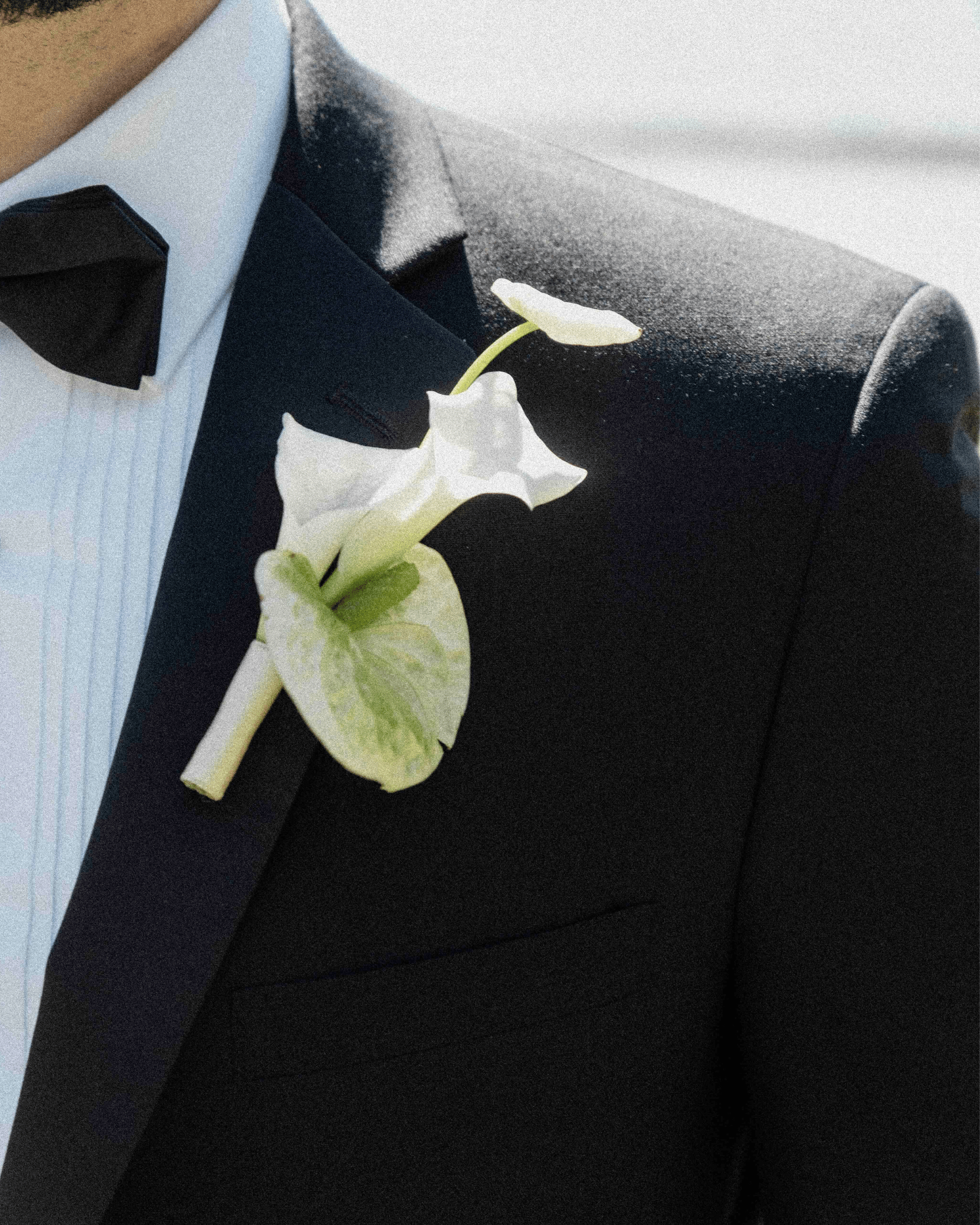 La Bomba Floristry Arrangements Boutonniere La Bomba Floristry Vancouver Canada Boutonniere