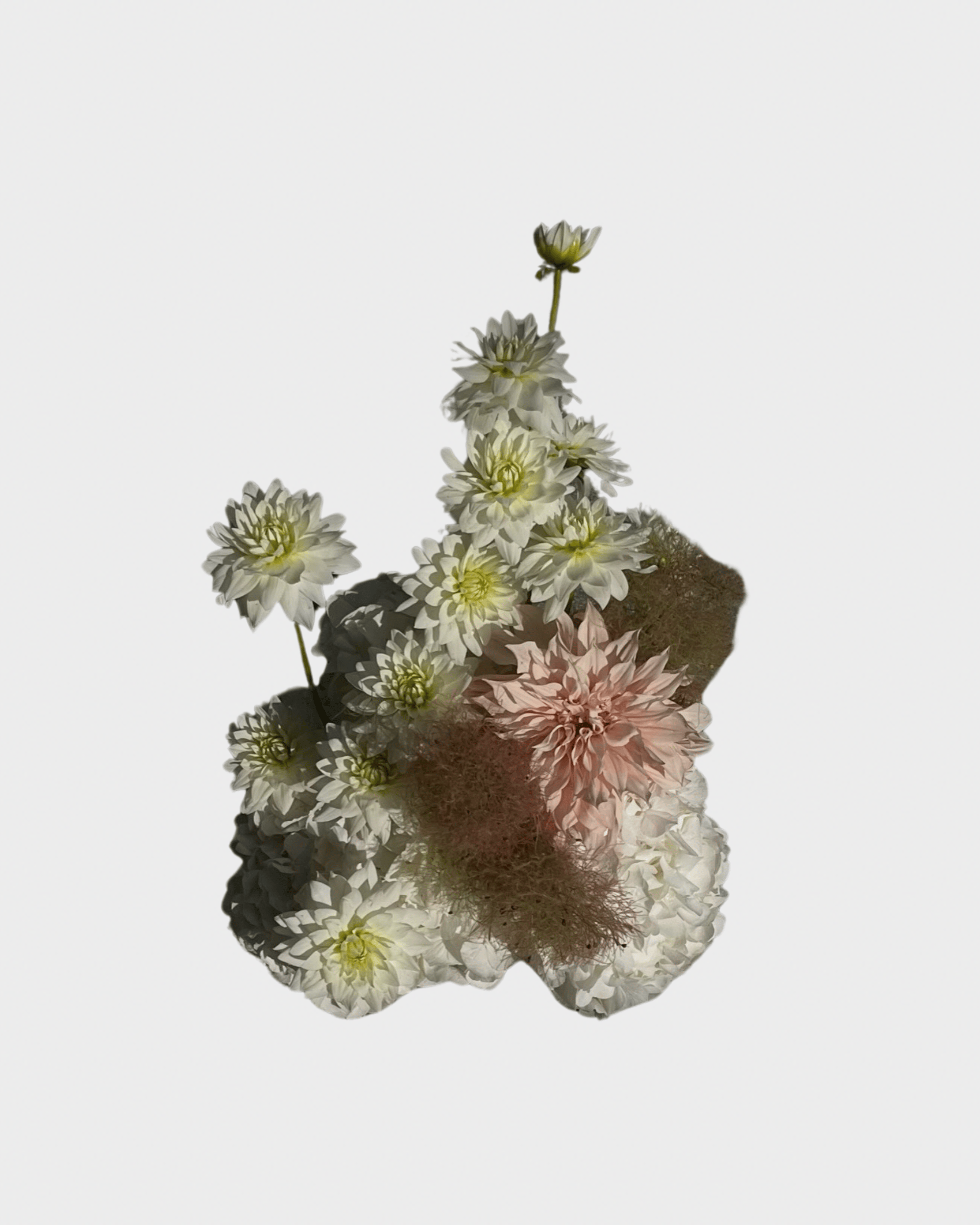 La Bomba Floristry Arrangements Feature Arrangements La Bomba Floristry Vancouver Canada Feature Arrangements