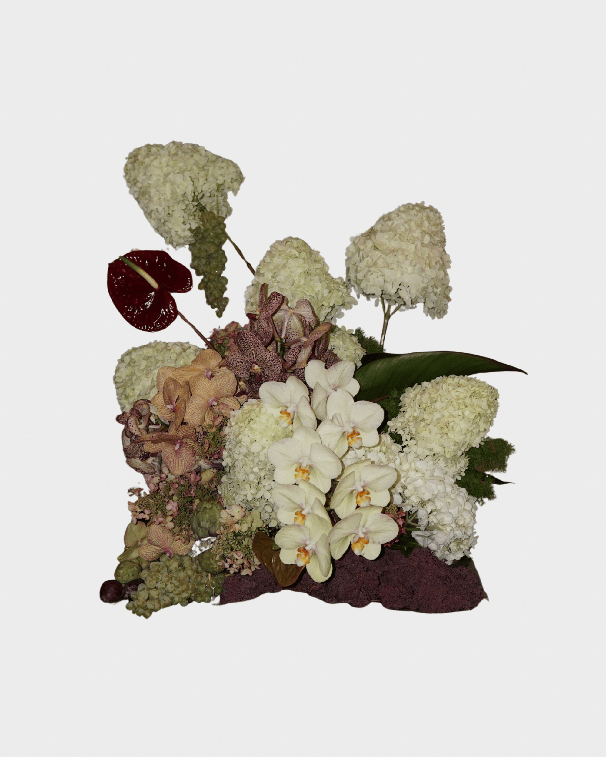 La Bomba Floristry Arrangements Feature Arrangements La Bomba Floristry Vancouver Canada Feature Arrangements