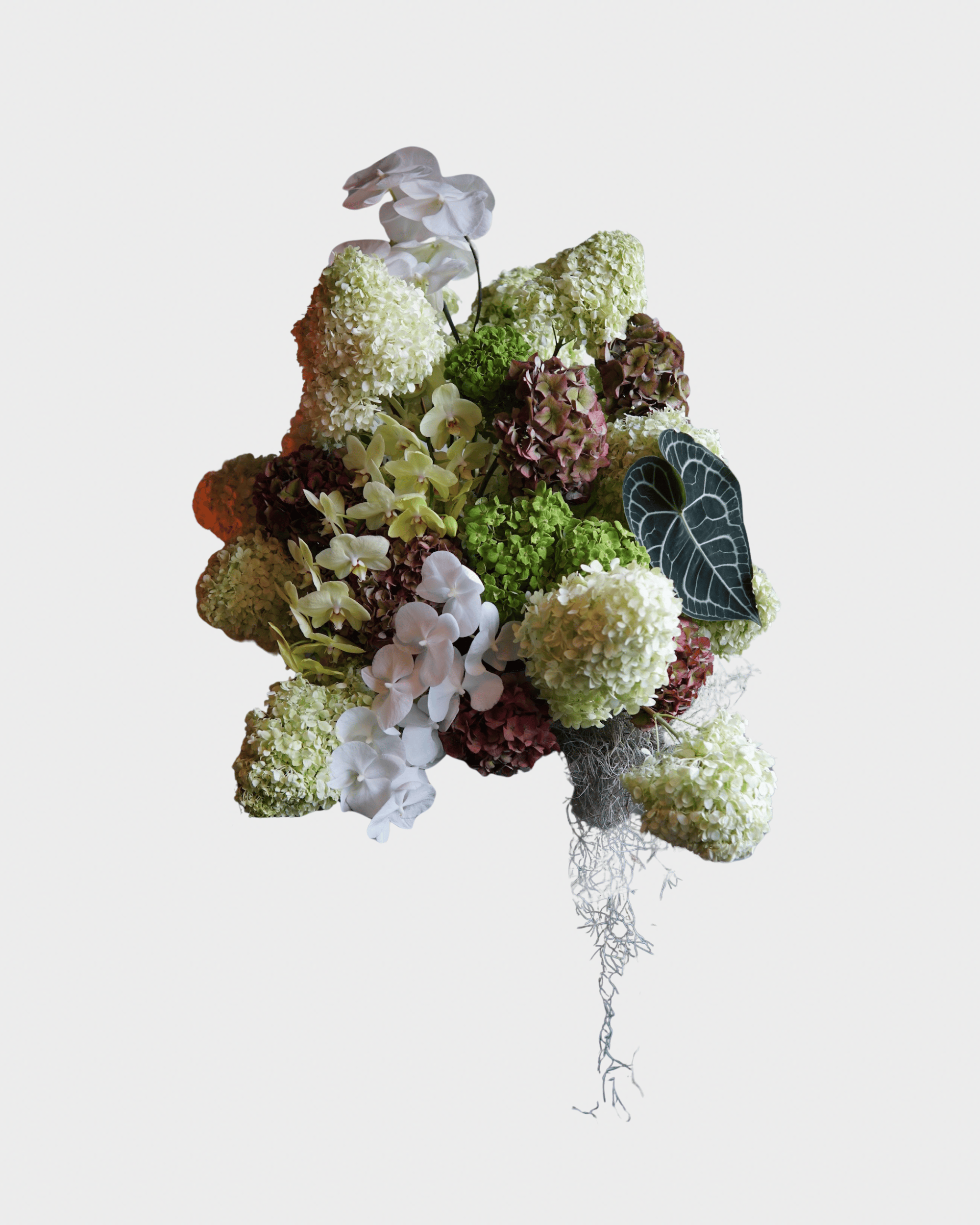 La Bomba Floristry Arrangements Feature Arrangements La Bomba Floristry Vancouver Canada Feature Arrangements