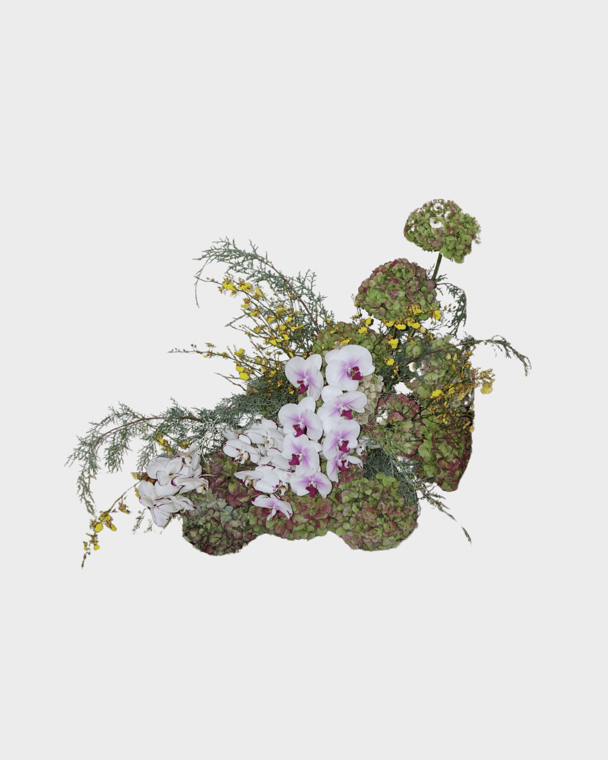 La Bomba Floristry Arrangements Feature Arrangements La Bomba Floristry Vancouver Canada Feature Arrangements