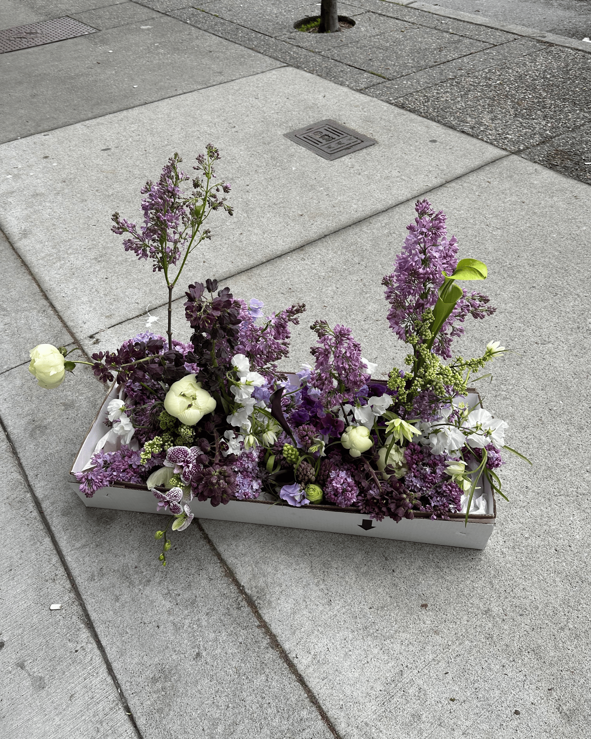 La Bomba Floristry Arrangements Floral Sculptures La Bomba Floristry Vancouver Canada Floral Sculptures