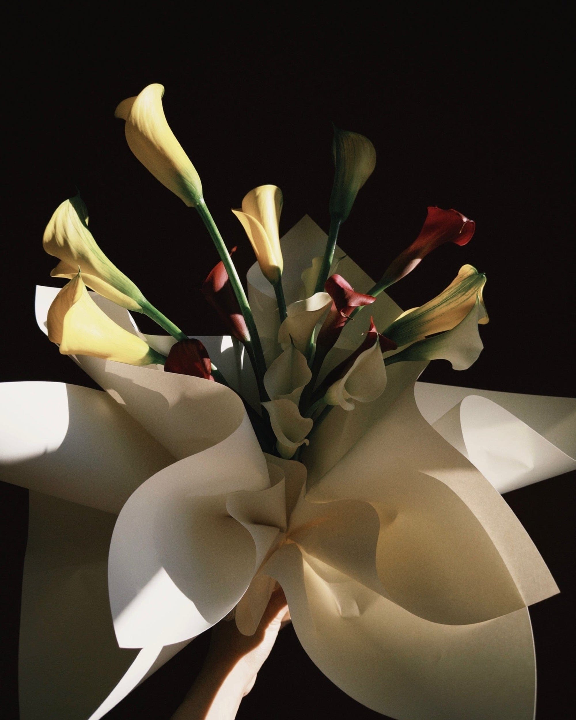 La Bomba Floristry Arrangements SINGLE SPECIES — Designer's Choice La Bomba Floristry Vancouver Canada SINGLE SPECIES — Designer's Choice