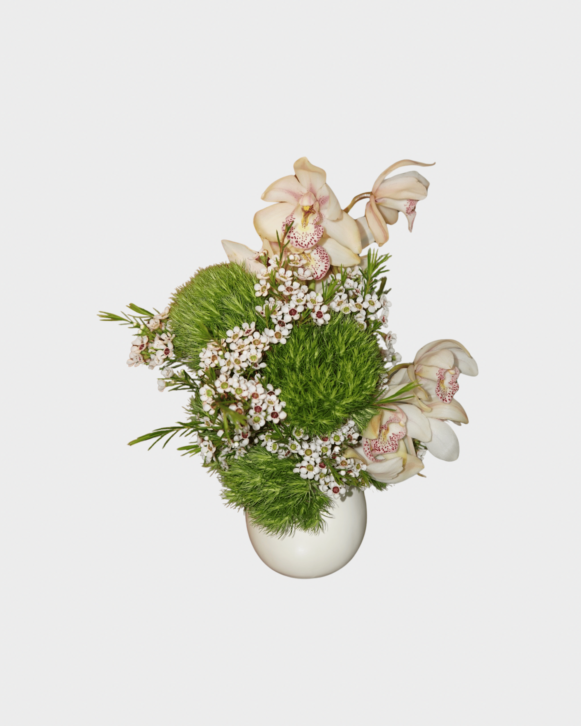 La Bomba Floristry Arrangements Vase Centrepieces La Bomba Floristry Vancouver Canada Vase Centrepieces