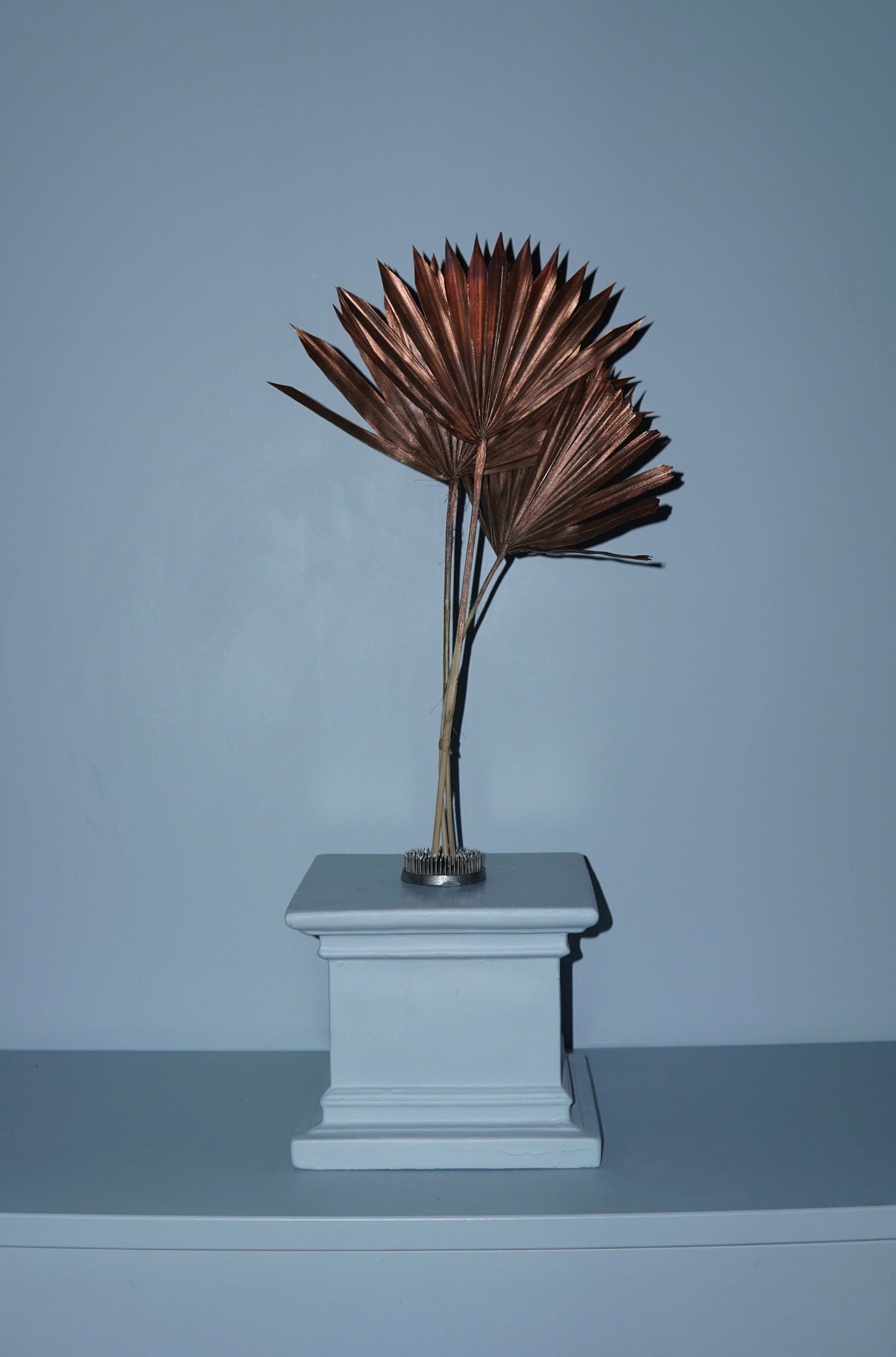 La Bomba Floristry Dried Stems Bronze Sun Palm ( 3 stems ) La Bomba Floristry Vancouver Canada