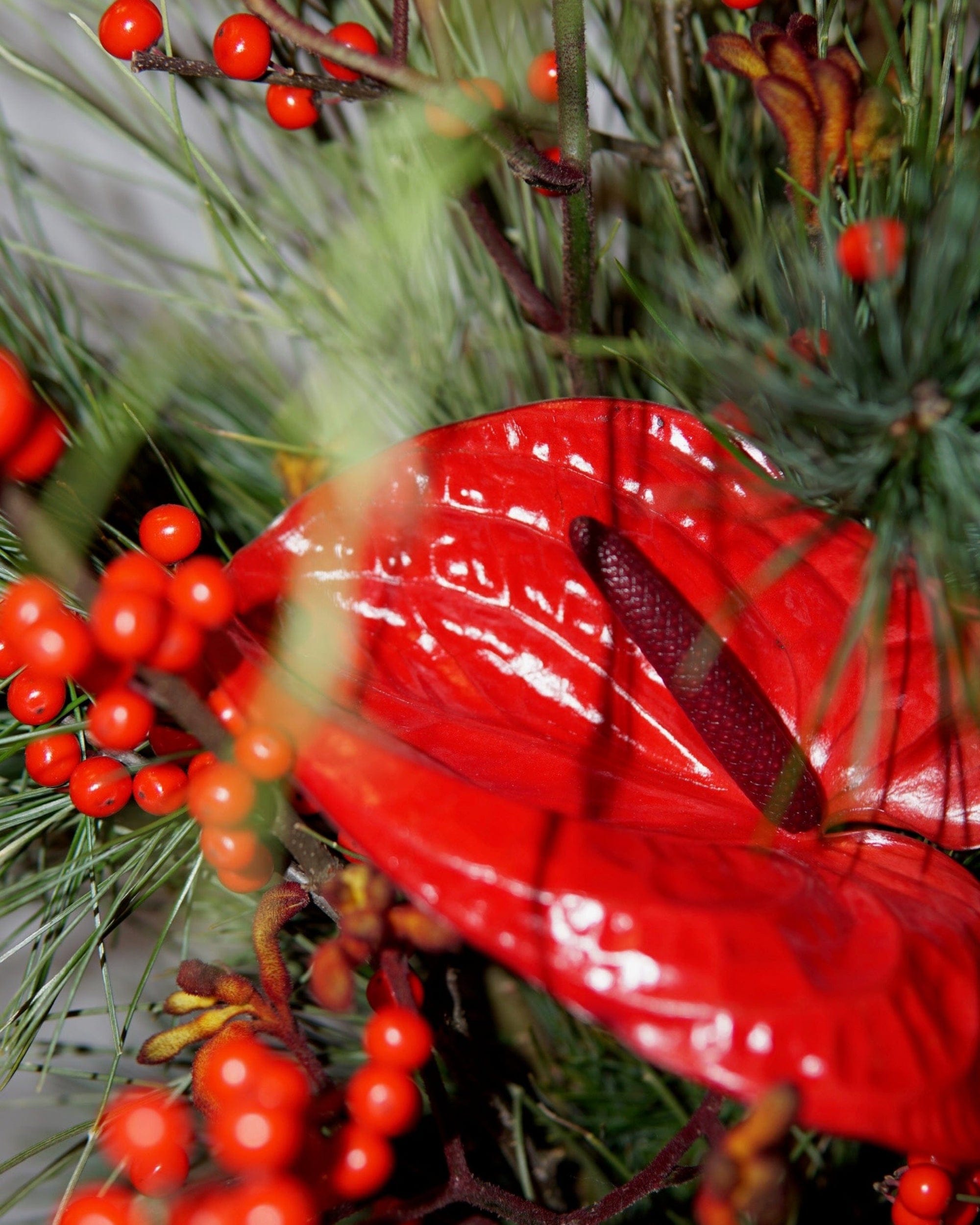 La Bomba Floristry Flowers Classic Holiday Arrangement La Bomba Floristry Vancouver Canada Classic Holiday Arrangement