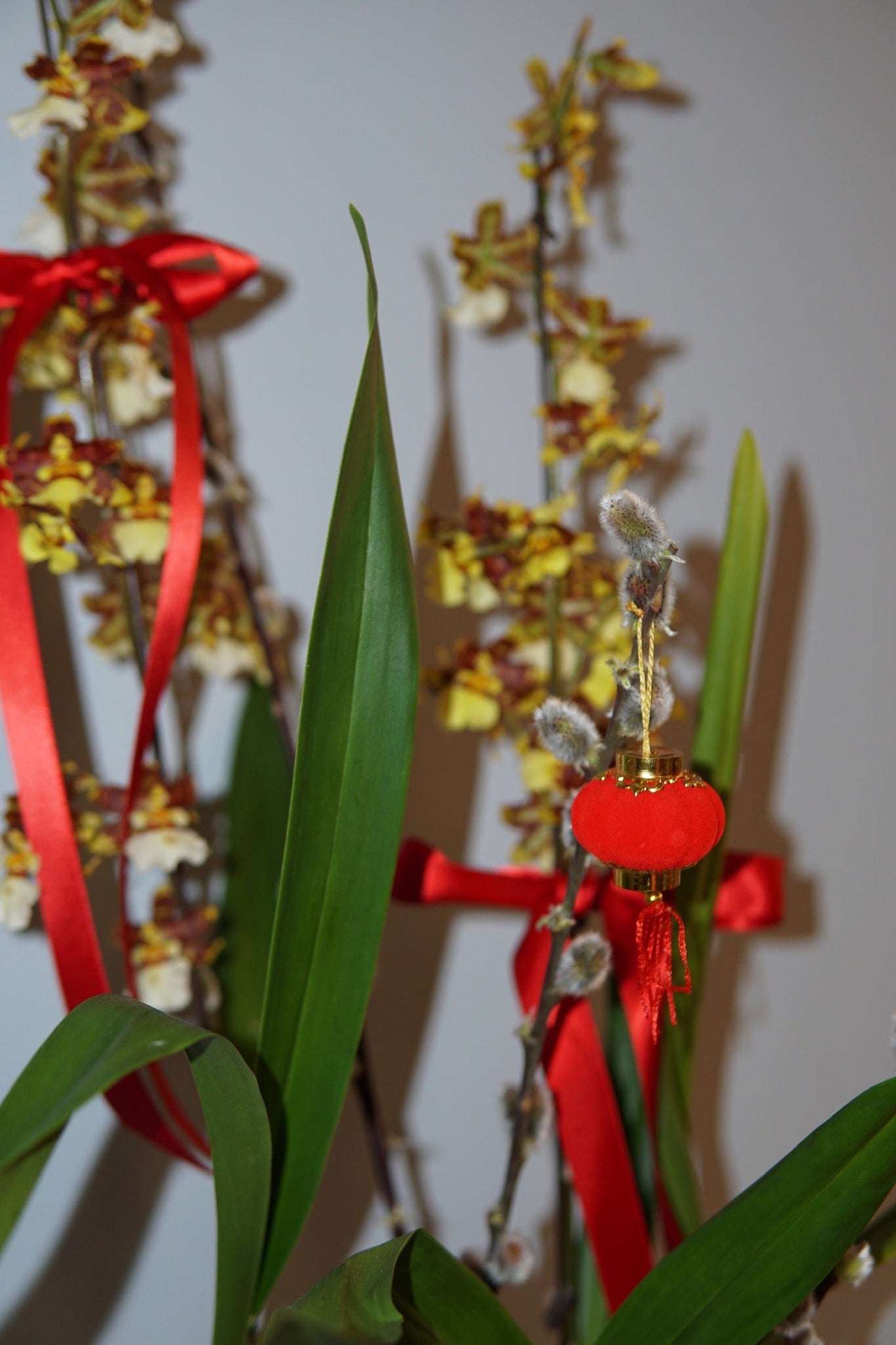 La Bomba Floristry Flowers Lunar New Year - Oncidium Orchid Planter 2-stem La Bomba Floristry Vancouver Canada