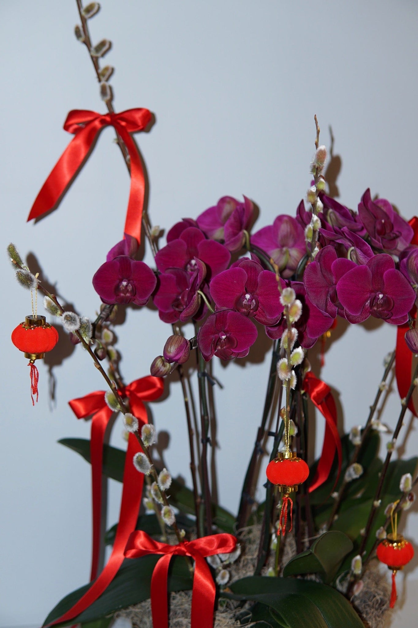 La Bomba Floristry Flowers Lunar New Year - Phaleonopsis Orchid Planter 6-stem La Bomba Floristry Vancouver Canada