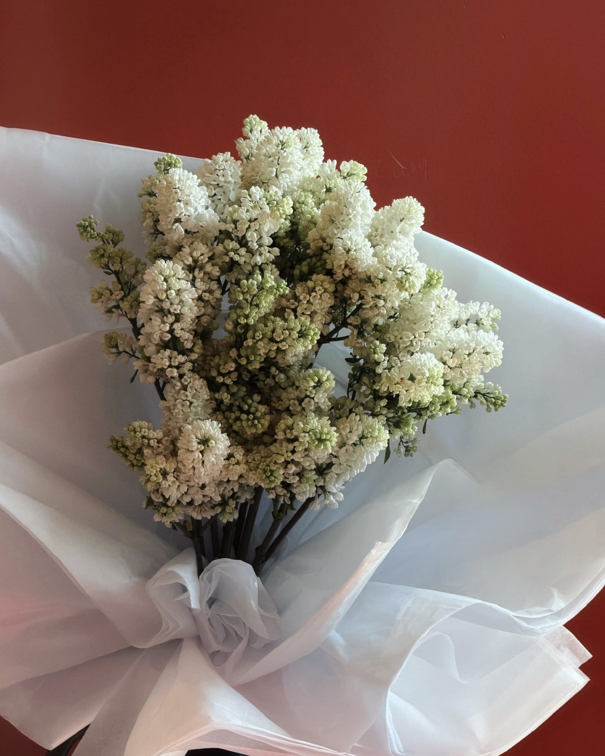 La Bomba Floristry Flowers Mother's Day Lilac En Masse La Bomba Floristry Vancouver Canada Mother's Day Lilac En Masse