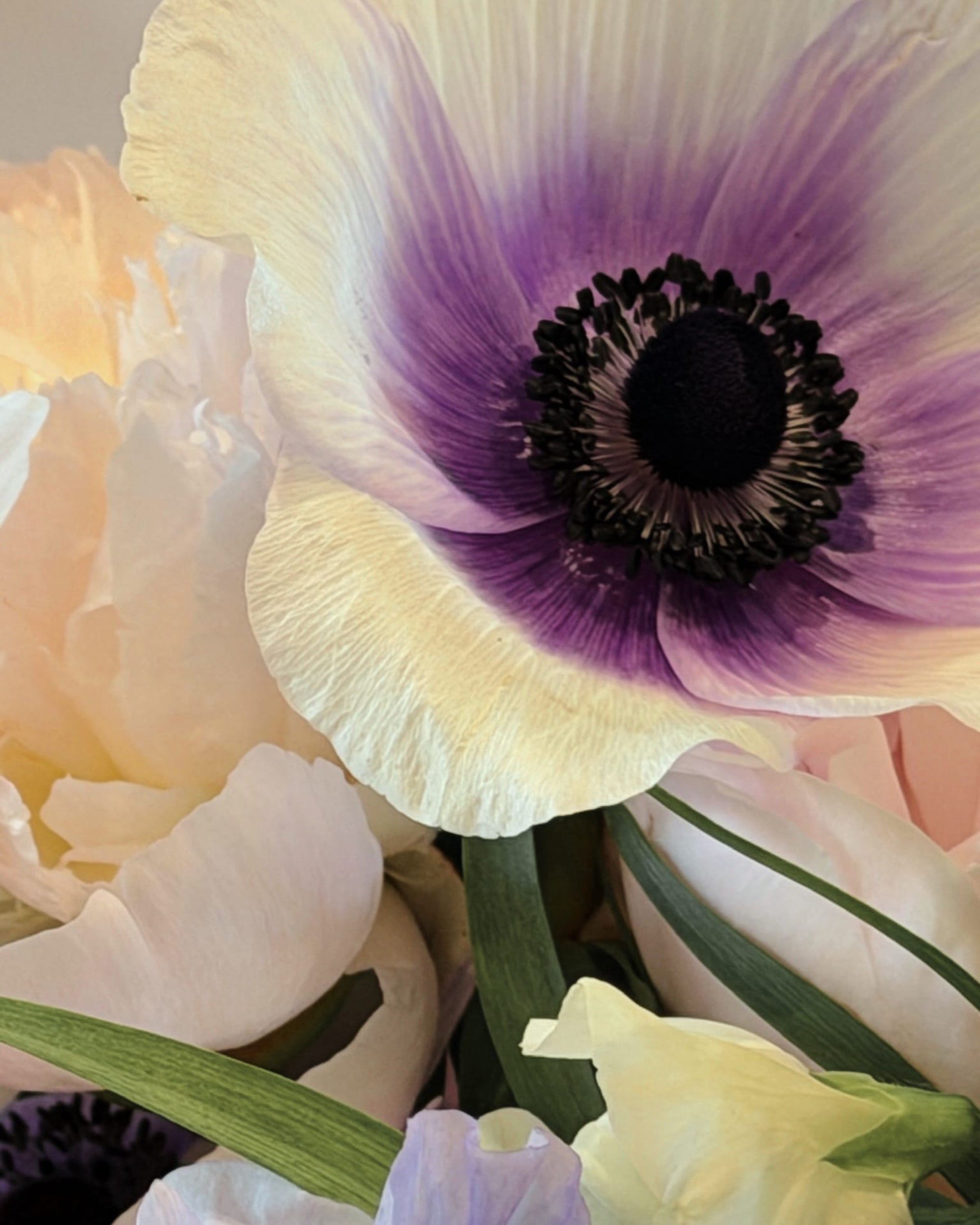 La Bomba Floristry Flowers Mother's Day Mixed Spring Arrangement La Bomba Floristry Vancouver Canada Mother's Day Mixed Spring Arrangement