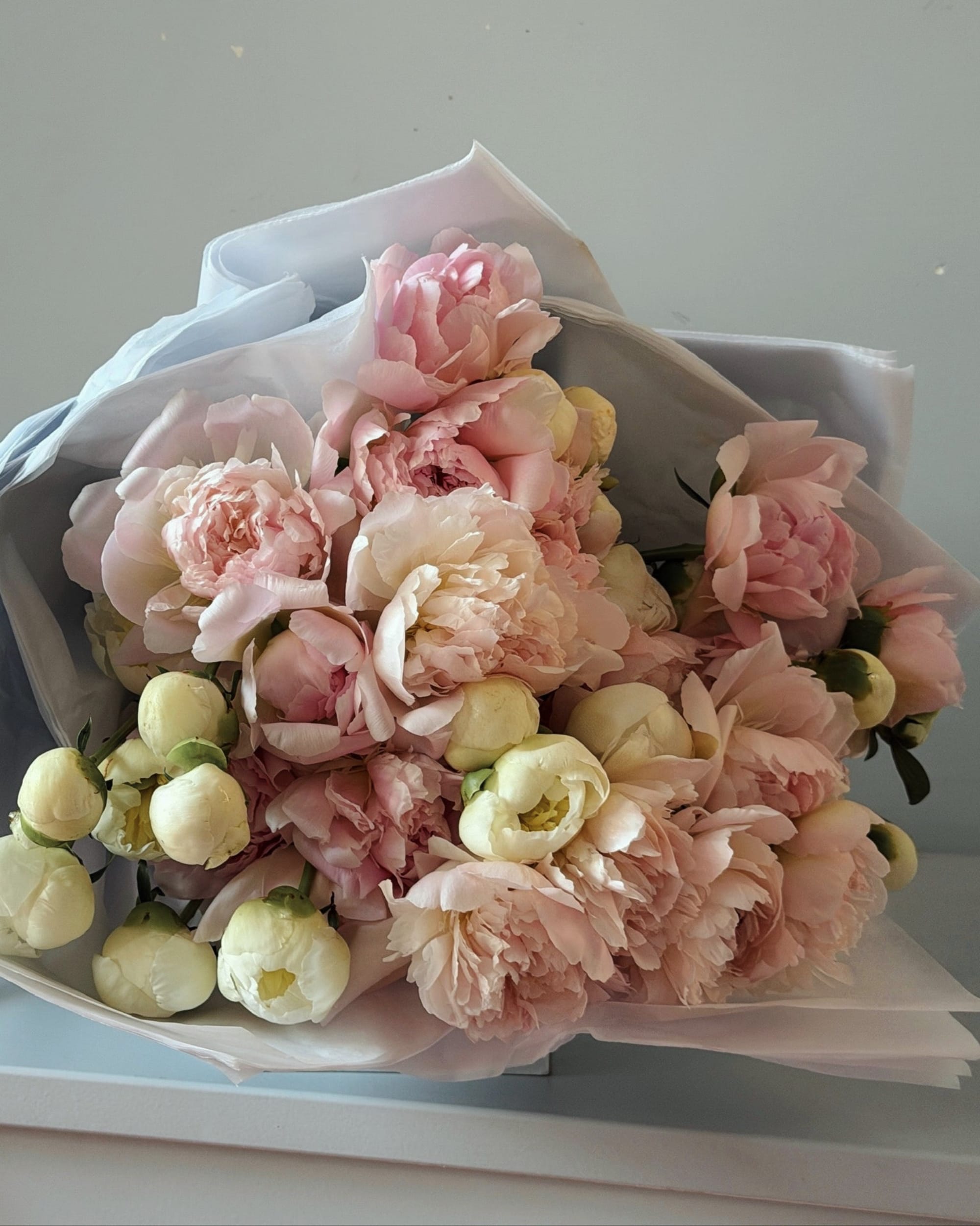 La Bomba Floristry Flowers Mother's Day Peonies En Masse La Bomba Floristry Vancouver Canada Mother's Day Peonies En Masse