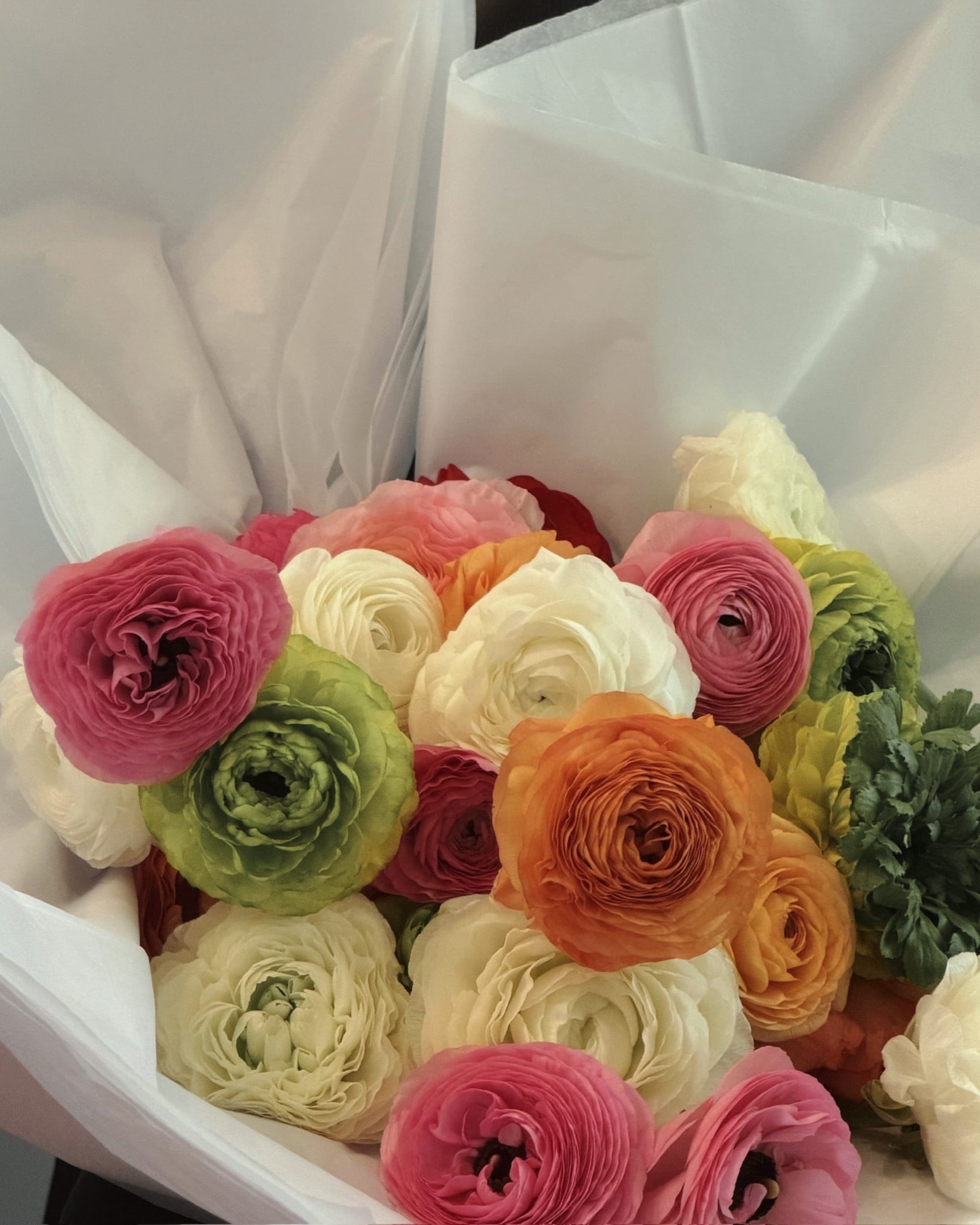 La Bomba Floristry Flowers Mother's Day Ranunculus En Masse La Bomba Floristry Vancouver Canada Mother's Day Ranunculus En Masse