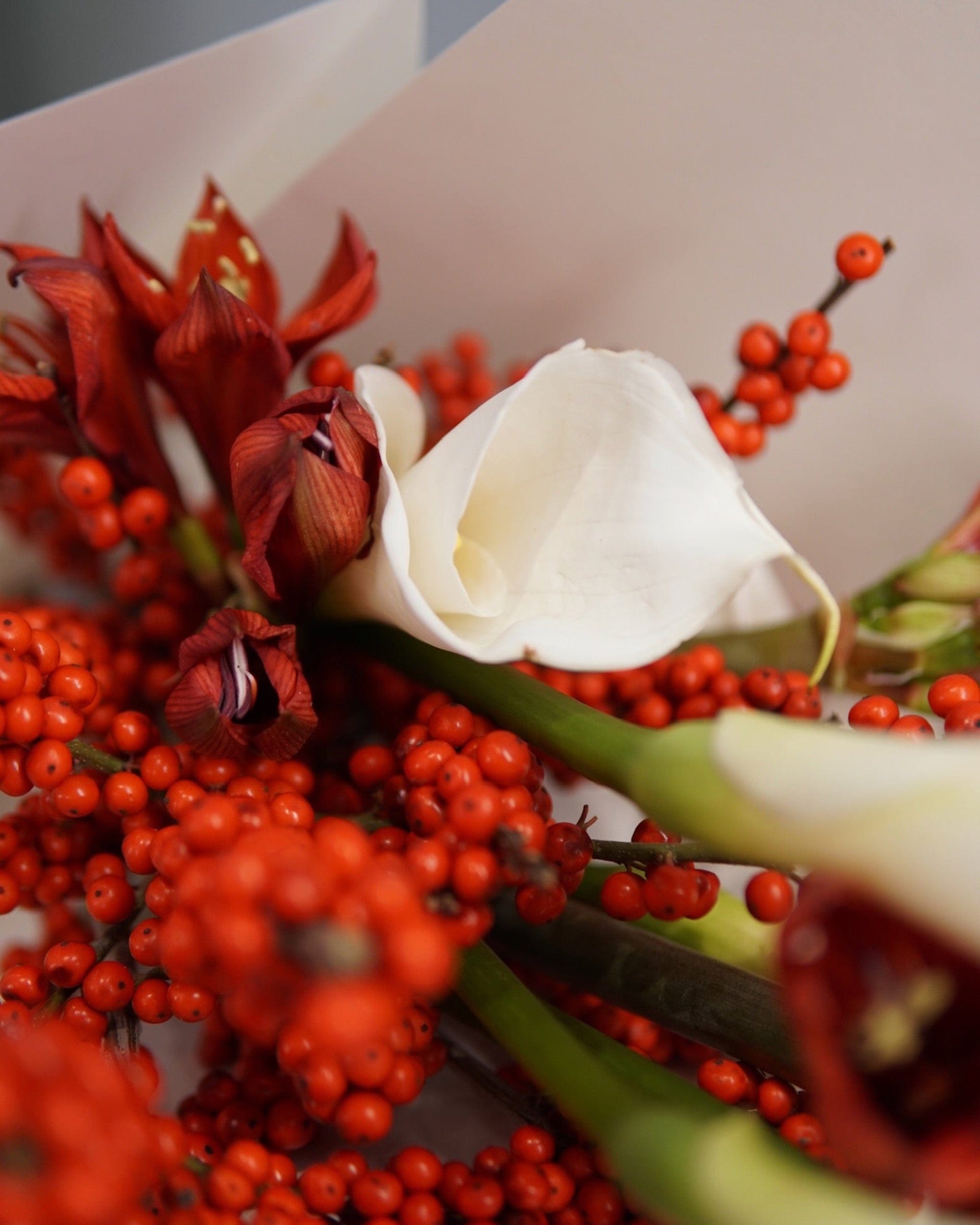 La Bomba Floristry Flowers Red & Ivory Holiday Stem Bundle La Bomba Floristry Vancouver Canada Red & Ivory Holiday Stem Bundle