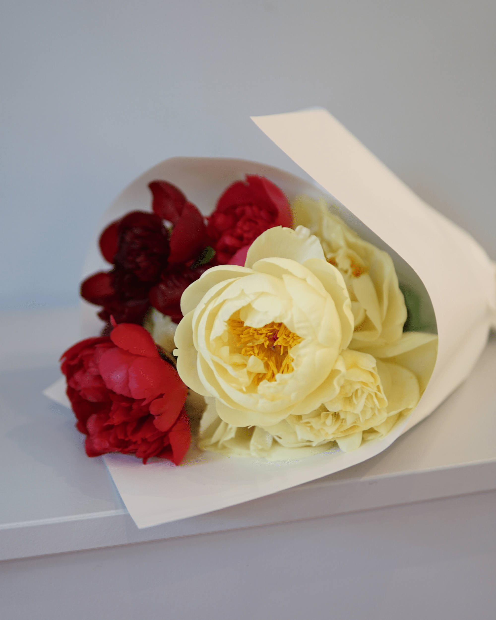 La Bomba Floristry Flowers SINGLE SPECIES — Peony La Bomba Floristry Vancouver Canada SINGLE SPECIES — Peony