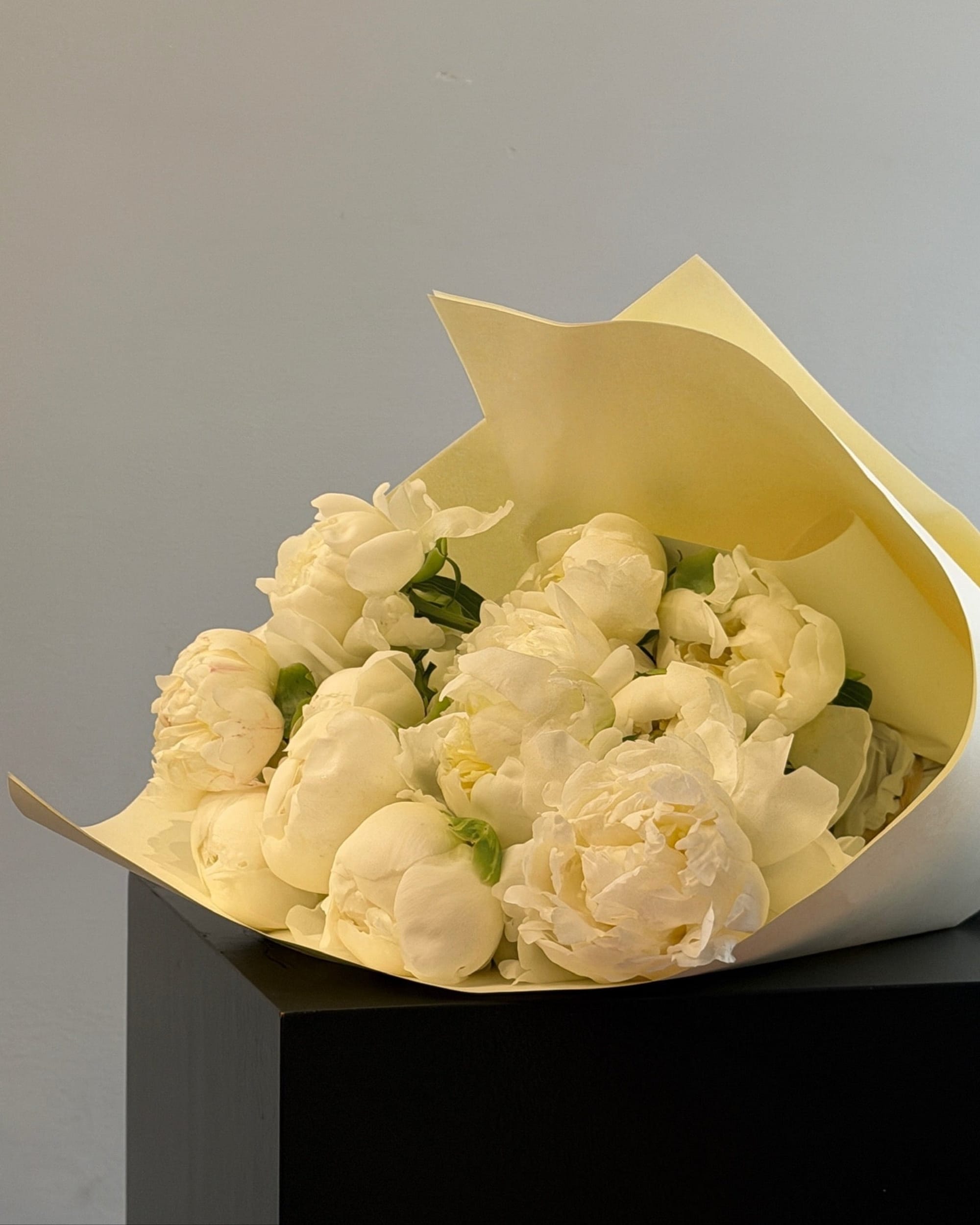 La Bomba Floristry Flowers SINGLE SPECIES — Peony La Bomba Floristry Vancouver Canada SINGLE SPECIES — Peony