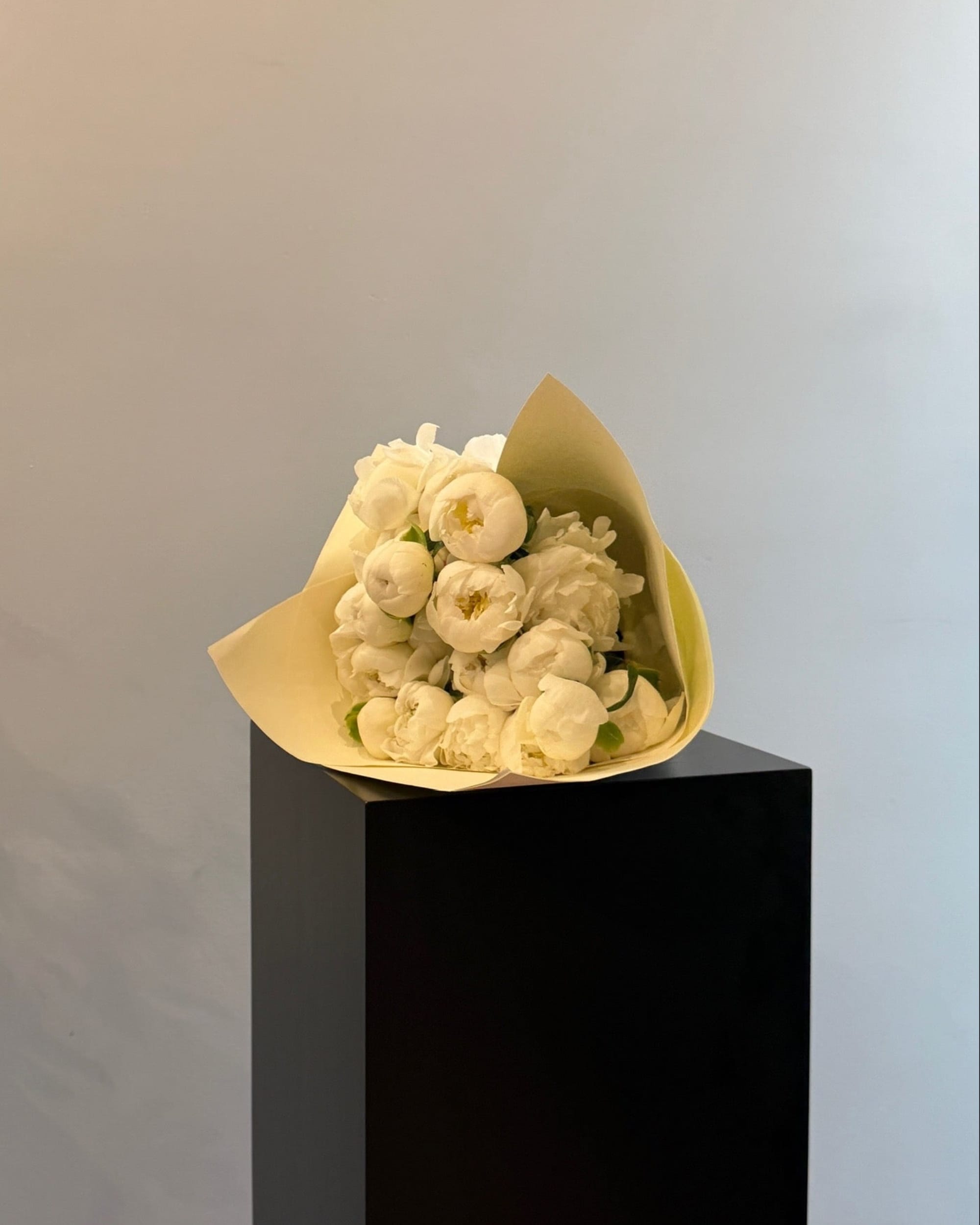 La Bomba Floristry Flowers SINGLE SPECIES — Peony La Bomba Floristry Vancouver Canada SINGLE SPECIES — Peony