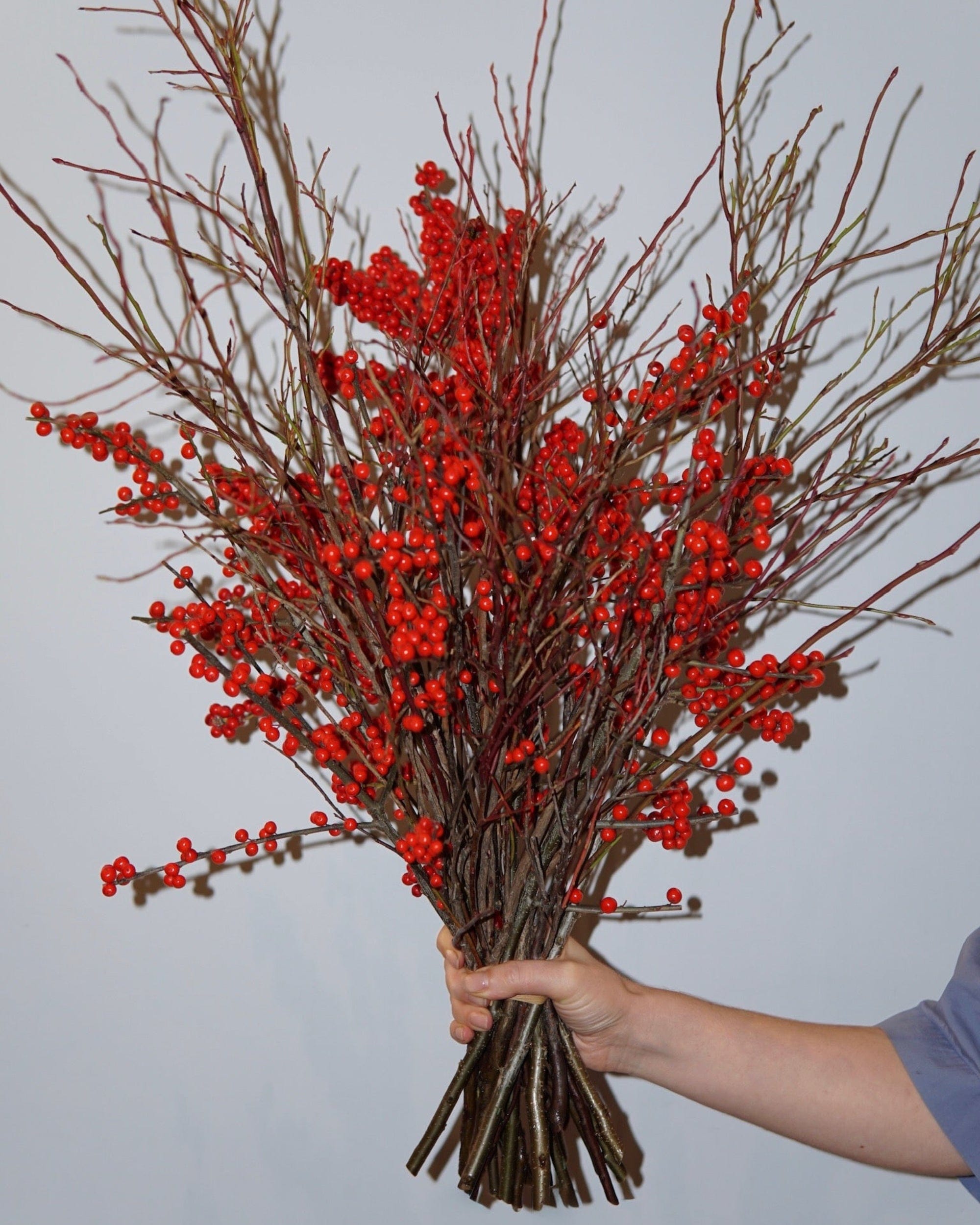 La Bomba Floristry Flowers Winterberry Branch Cluster La Bomba Floristry Vancouver Canada Winterberry Branch Cluster