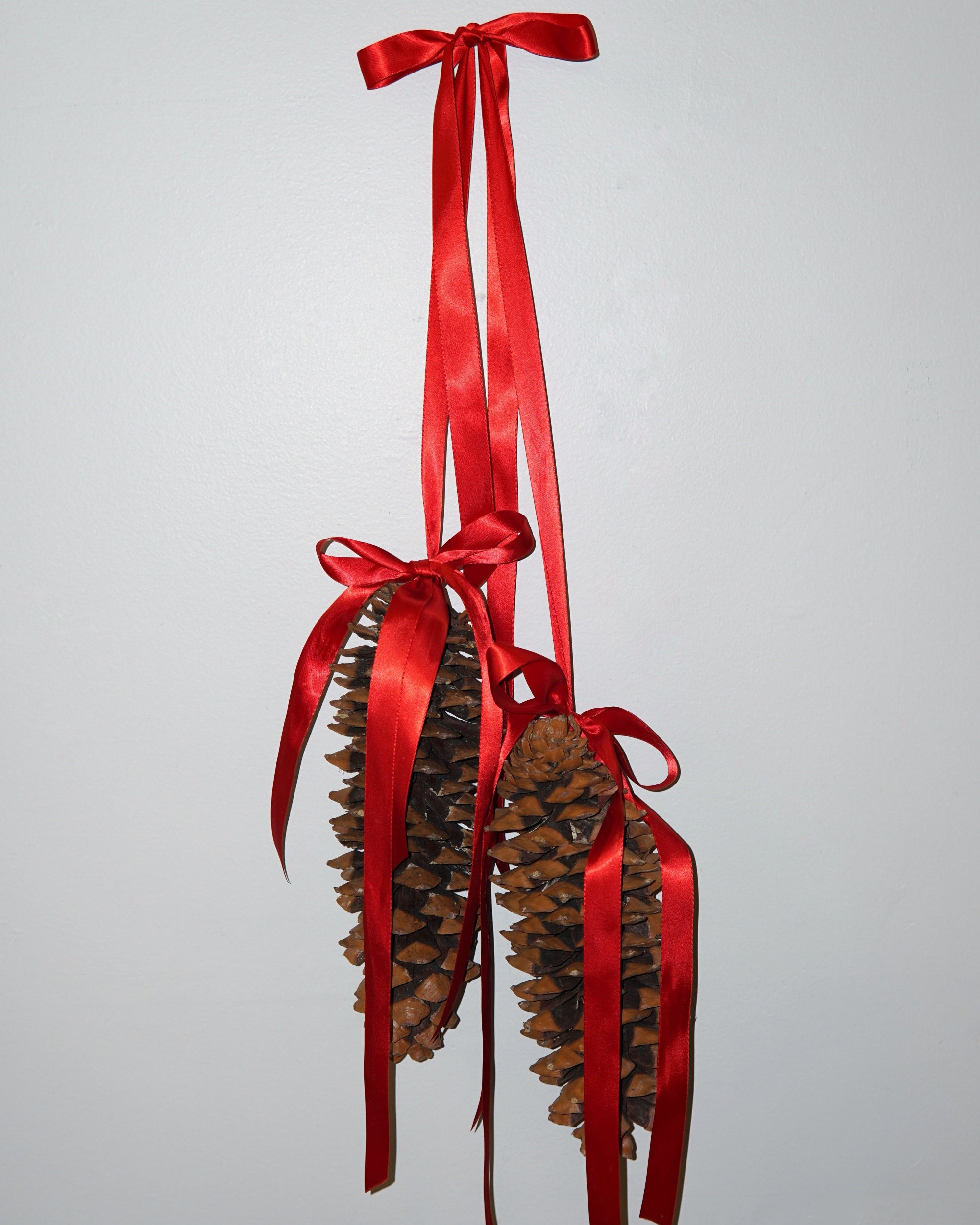La Bomba Floristry La Bomba Floristry Hanging Pinecone Duo La Bomba Floristry Vancouver Canada Hanging Pinecone Duo