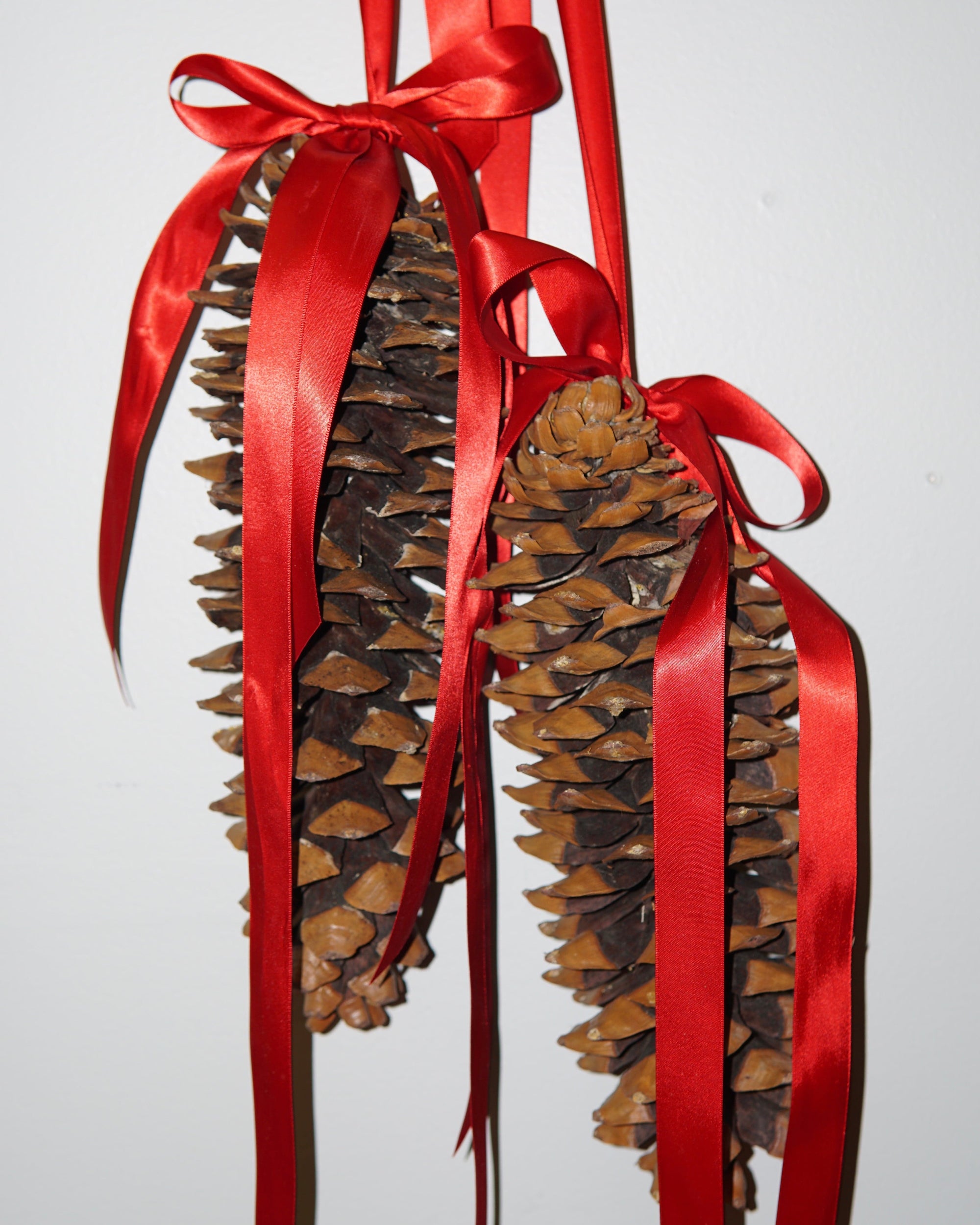 La Bomba Floristry La Bomba Floristry Hanging Pinecone Duo La Bomba Floristry Vancouver Canada Hanging Pinecone Duo