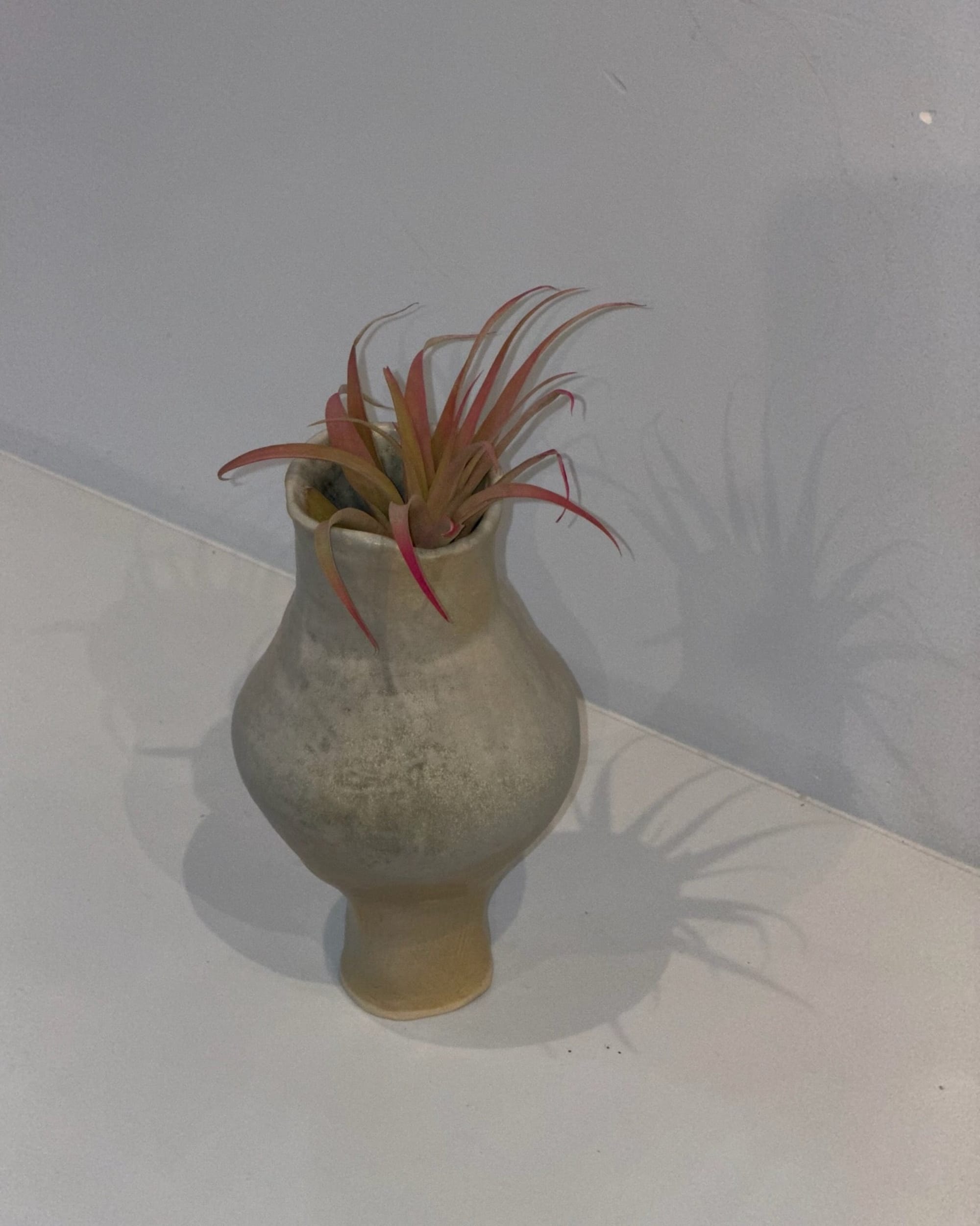 La Bomba Home Decor Found Grey Stoneware Pitcher Vase La Bomba Floristry Vancouver Canada Found Grey Stoneware Pitcher Vase