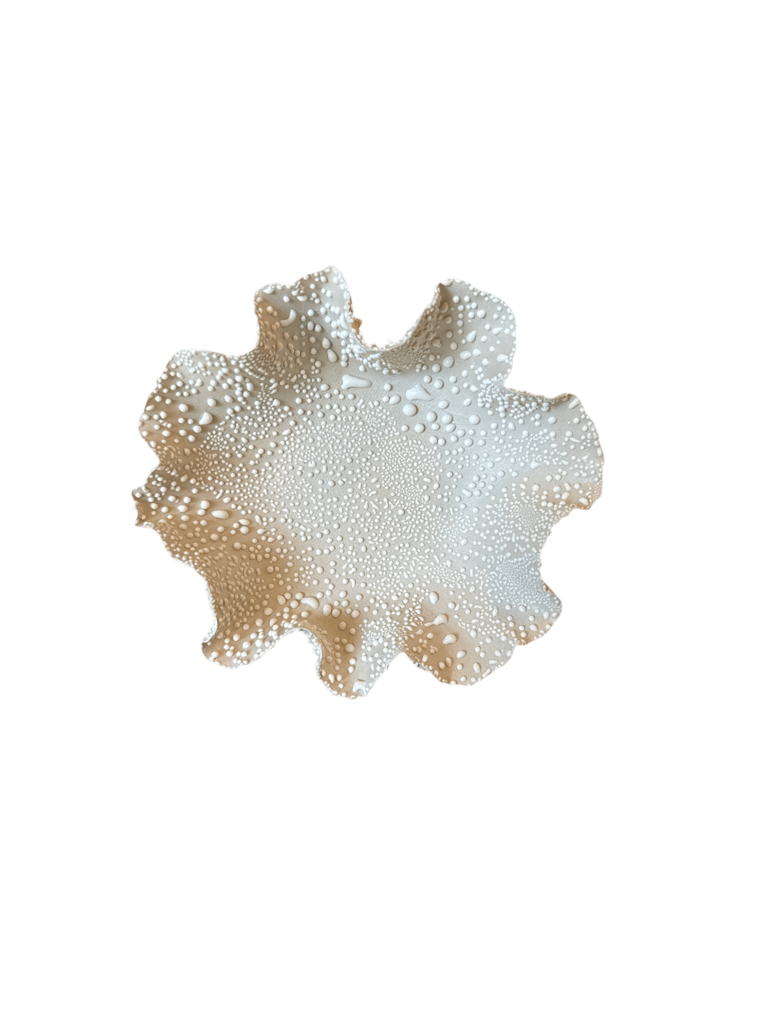 Nathalee Paolinelli 0024 Nathalee Paolinelli - Small Ruffle Bowl (NP0024-28) La Bomba Floristry Vancouver Canada Nathalee Paolinelli - Small Ruffle Bowl (NP0024-28)