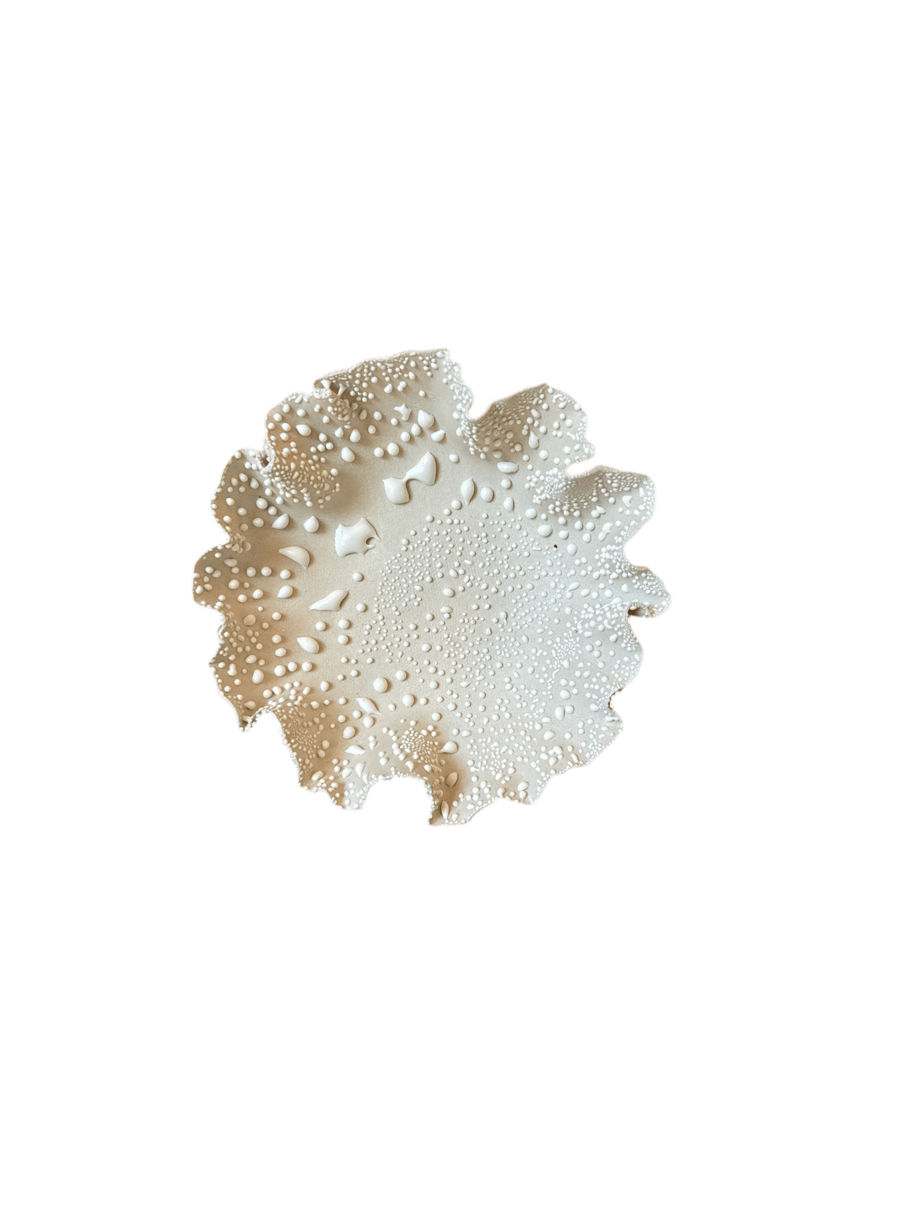 Nathalee Paolinelli 0025 Nathalee Paolinelli - Small Ruffle Bowl (NP0024-28) La Bomba Floristry Vancouver Canada Nathalee Paolinelli - Small Ruffle Bowl (NP0024-28)