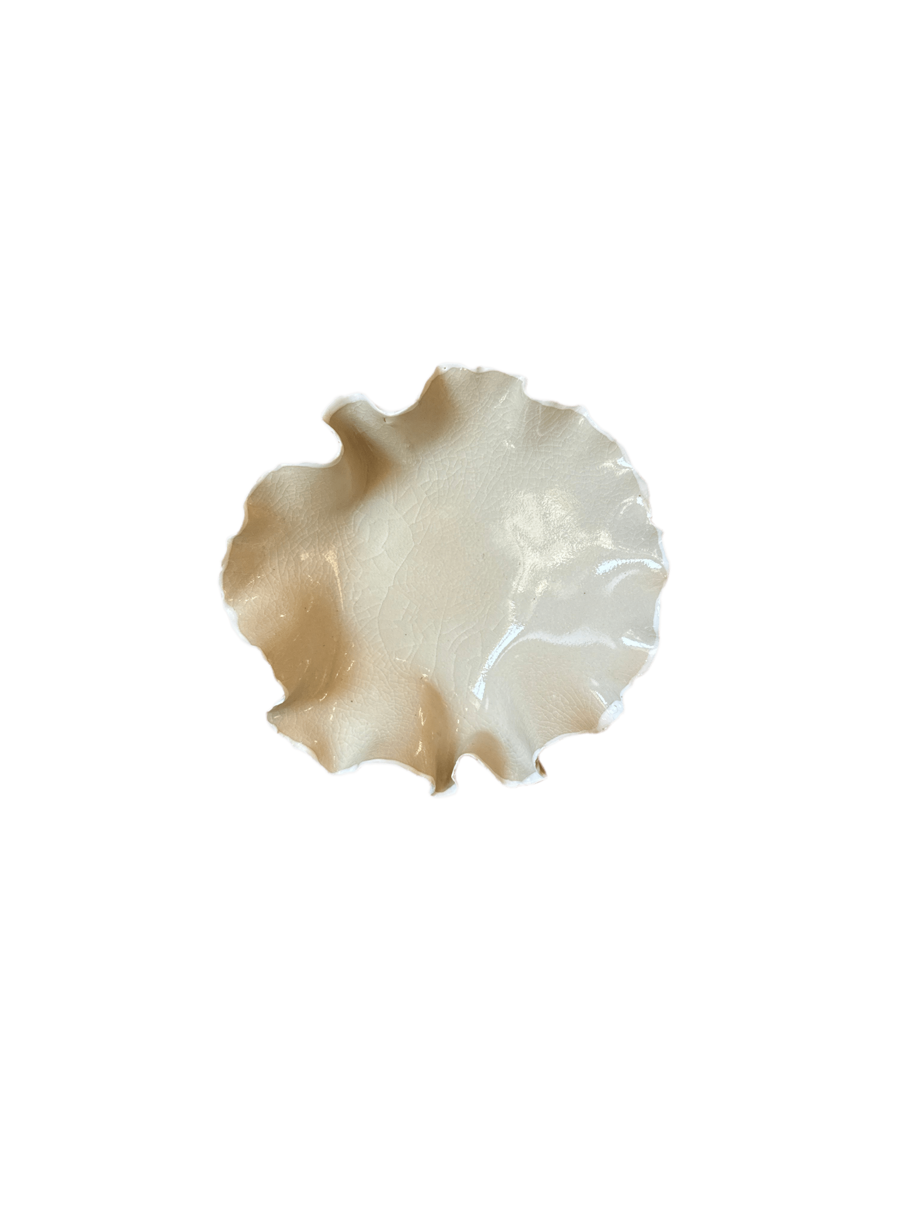 Nathalee Paolinelli 0026 Nathalee Paolinelli - Small Ruffle Bowl (NP0024-28) La Bomba Floristry Vancouver Canada Nathalee Paolinelli - Small Ruffle Bowl (NP0024-28)