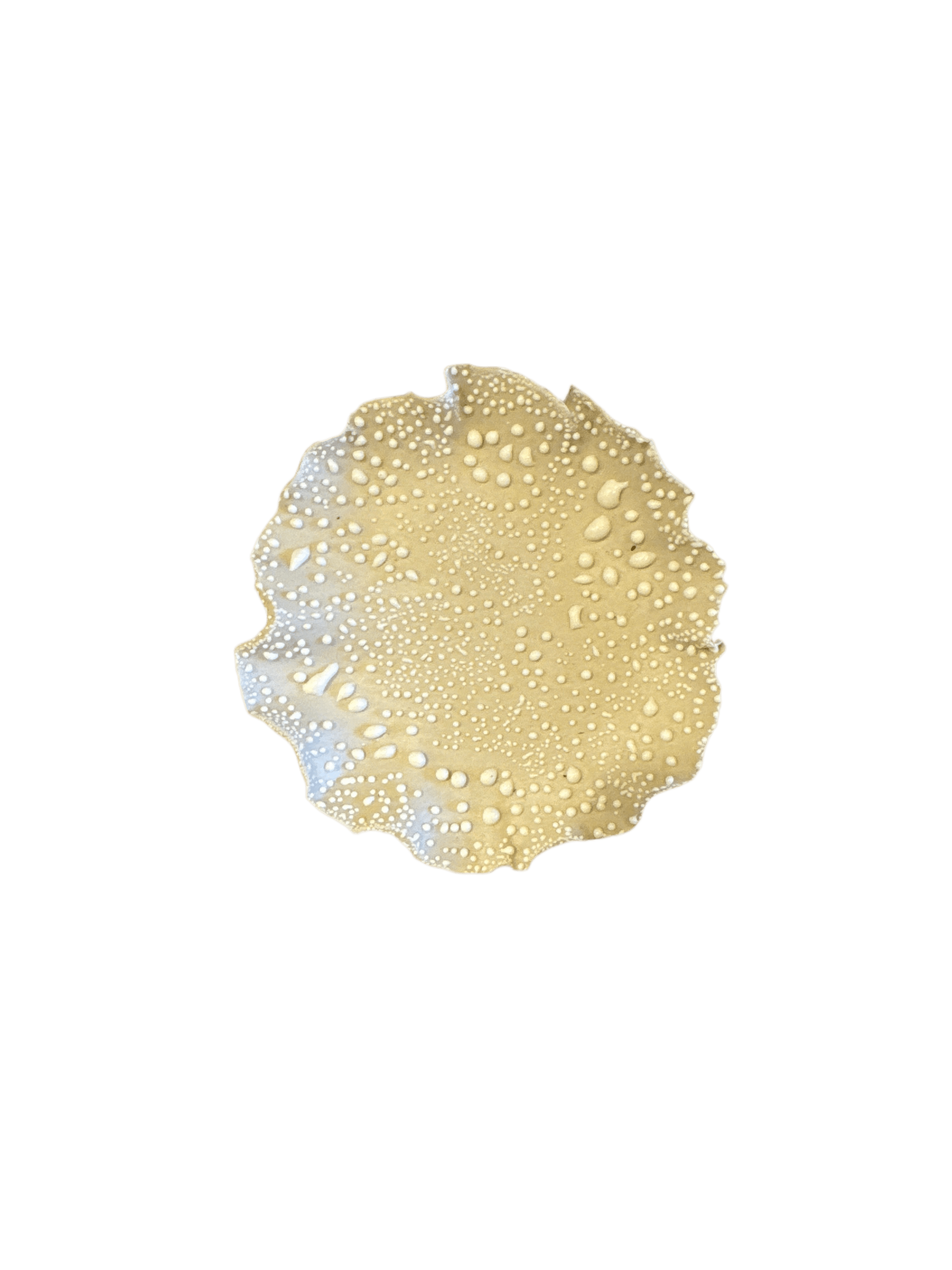 Nathalee Paolinelli 0029 Nathalee Paolinelli - Trinket Bowl (NP0029-34) La Bomba Floristry Vancouver Canada Nathalee Paolinelli - Trinket Bowl (NP0029-34)