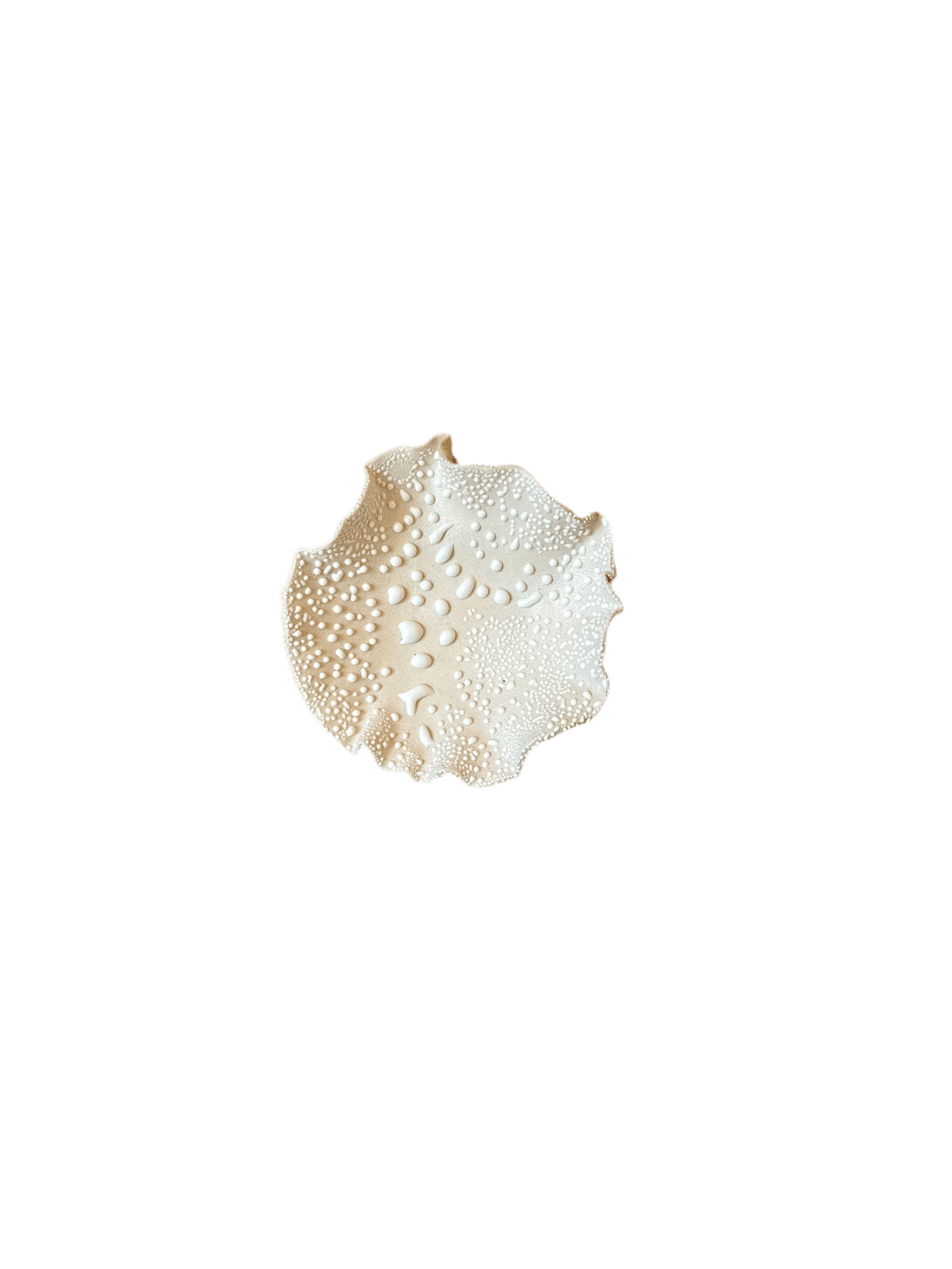 Nathalee Paolinelli 0030 Nathalee Paolinelli - Trinket Bowl (NP0029-34) La Bomba Floristry Vancouver Canada Nathalee Paolinelli - Trinket Bowl (NP0029-34)
