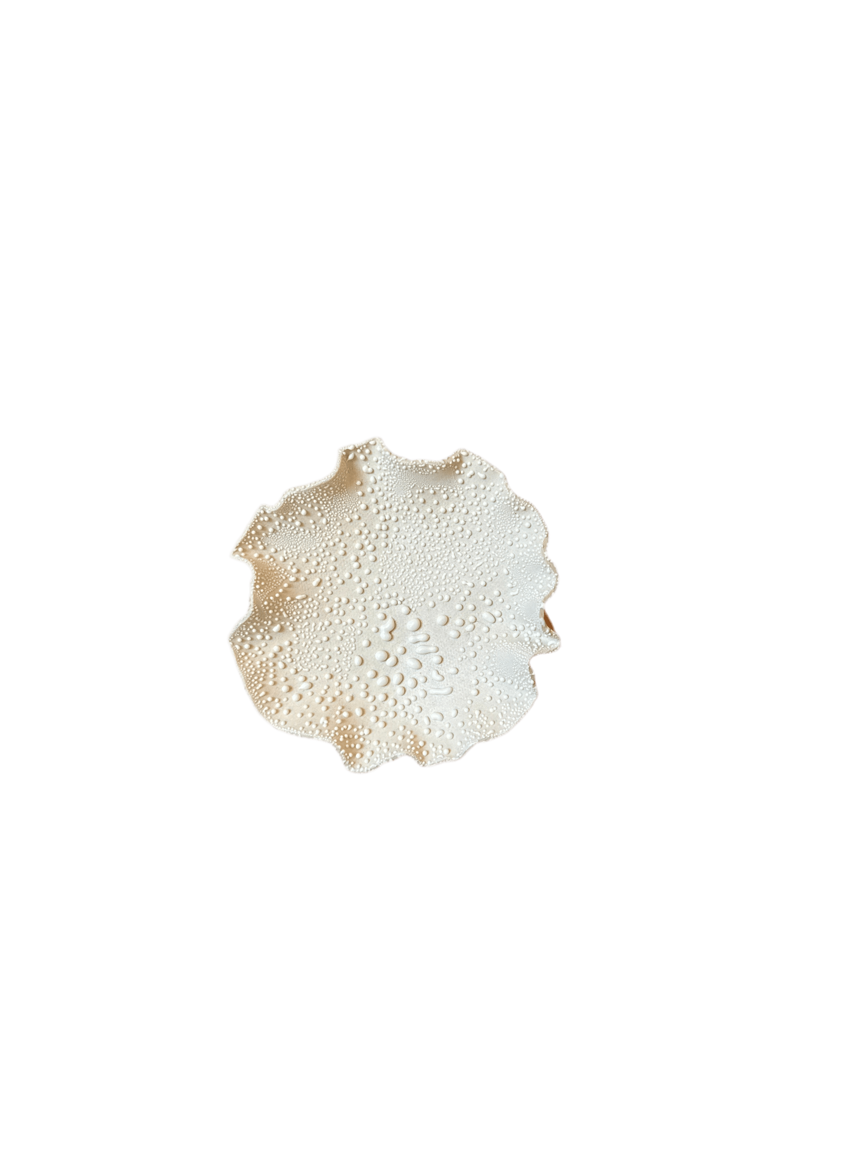 Nathalee Paolinelli 0031 Nathalee Paolinelli - Trinket Bowl (NP0029-34) La Bomba Floristry Vancouver Canada Nathalee Paolinelli - Trinket Bowl (NP0029-34)