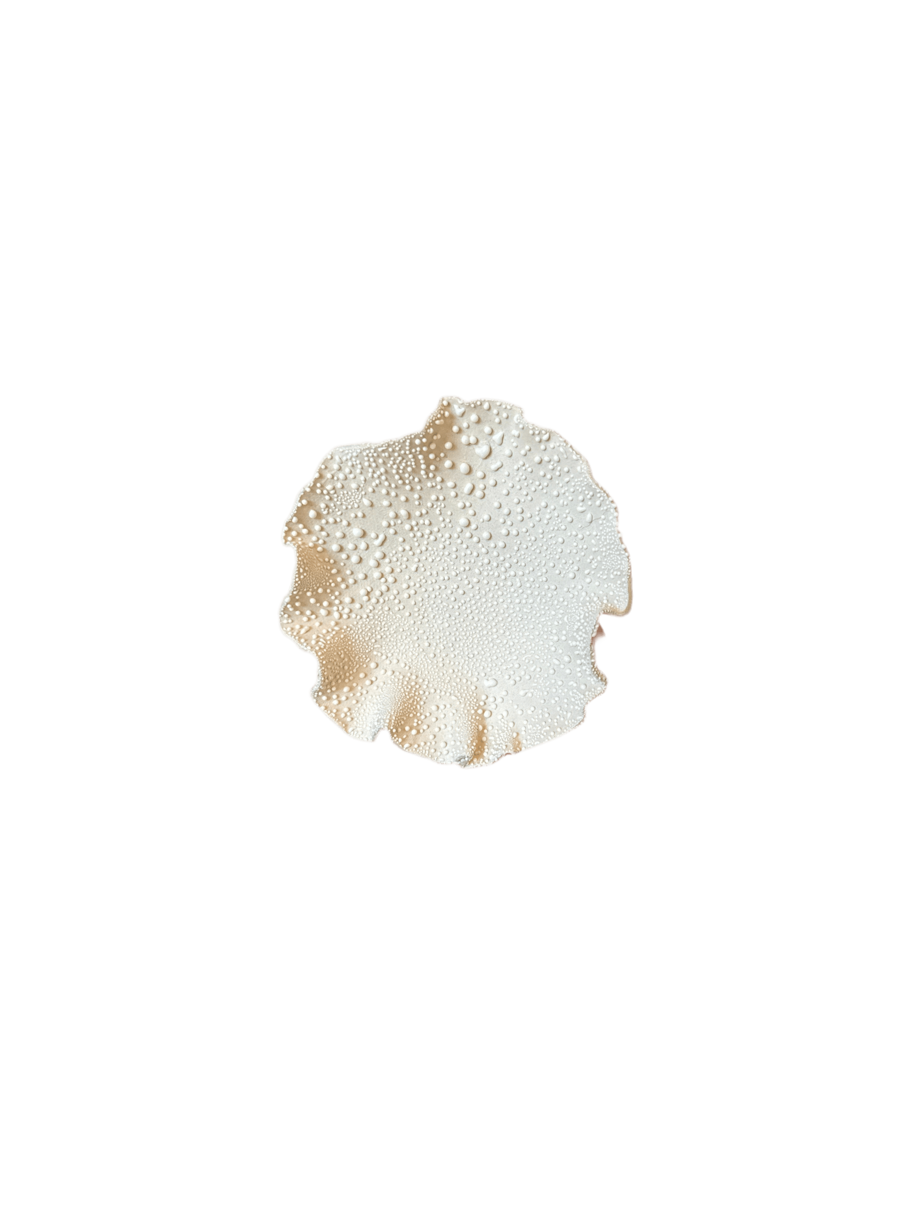 Nathalee Paolinelli 0034 Nathalee Paolinelli - Trinket Bowl (NP0029-34) La Bomba Floristry Vancouver Canada Nathalee Paolinelli - Trinket Bowl (NP0029-34)