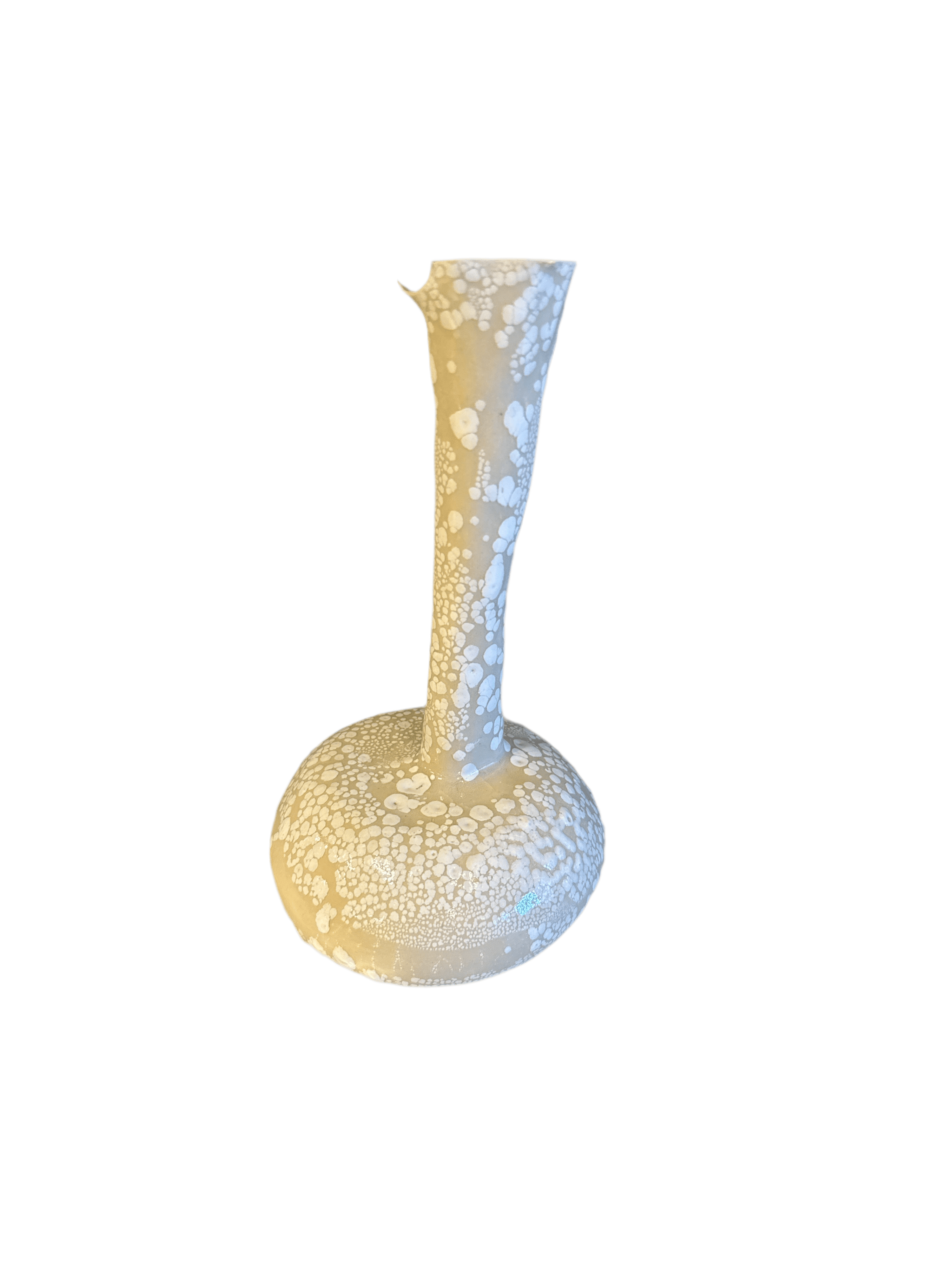 Nathalee Paolinelli Nathalee Paolinelli - Coral Orb White Lichen Pop (NP0012) La Bomba Floristry Vancouver Canada Nathalee Paolinelli - Coral Orb White Lichen Pop (NP0012)