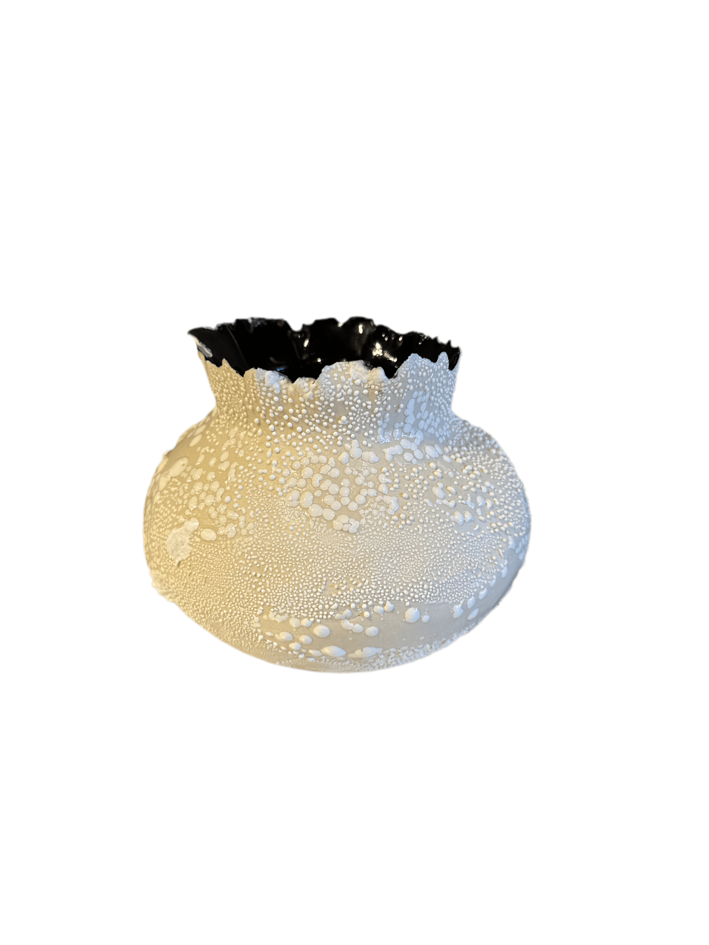 Nathalee Paolinelli Nathalee Paolinelli - Custom Orb White Lichen (NP0006) La Bomba Floristry Vancouver Canada Nathalee Paolinelli - Custom Orb White Lichen (NP0006)