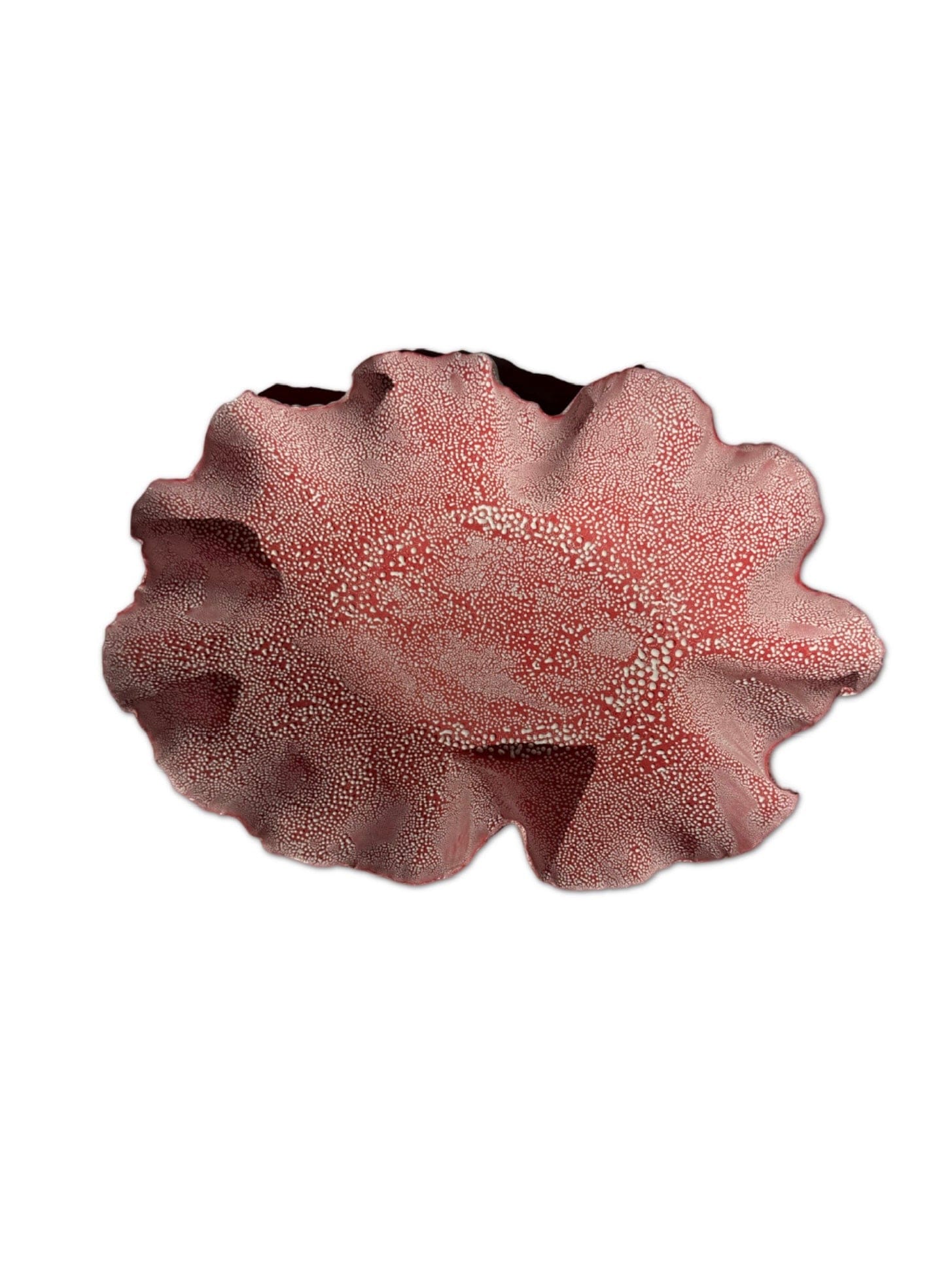 Nathalee Paolinelli Nathalee Paolinelli -Keep Sake Bowl Long Red With White Lichen La Bomba Floristry Vancouver Canada