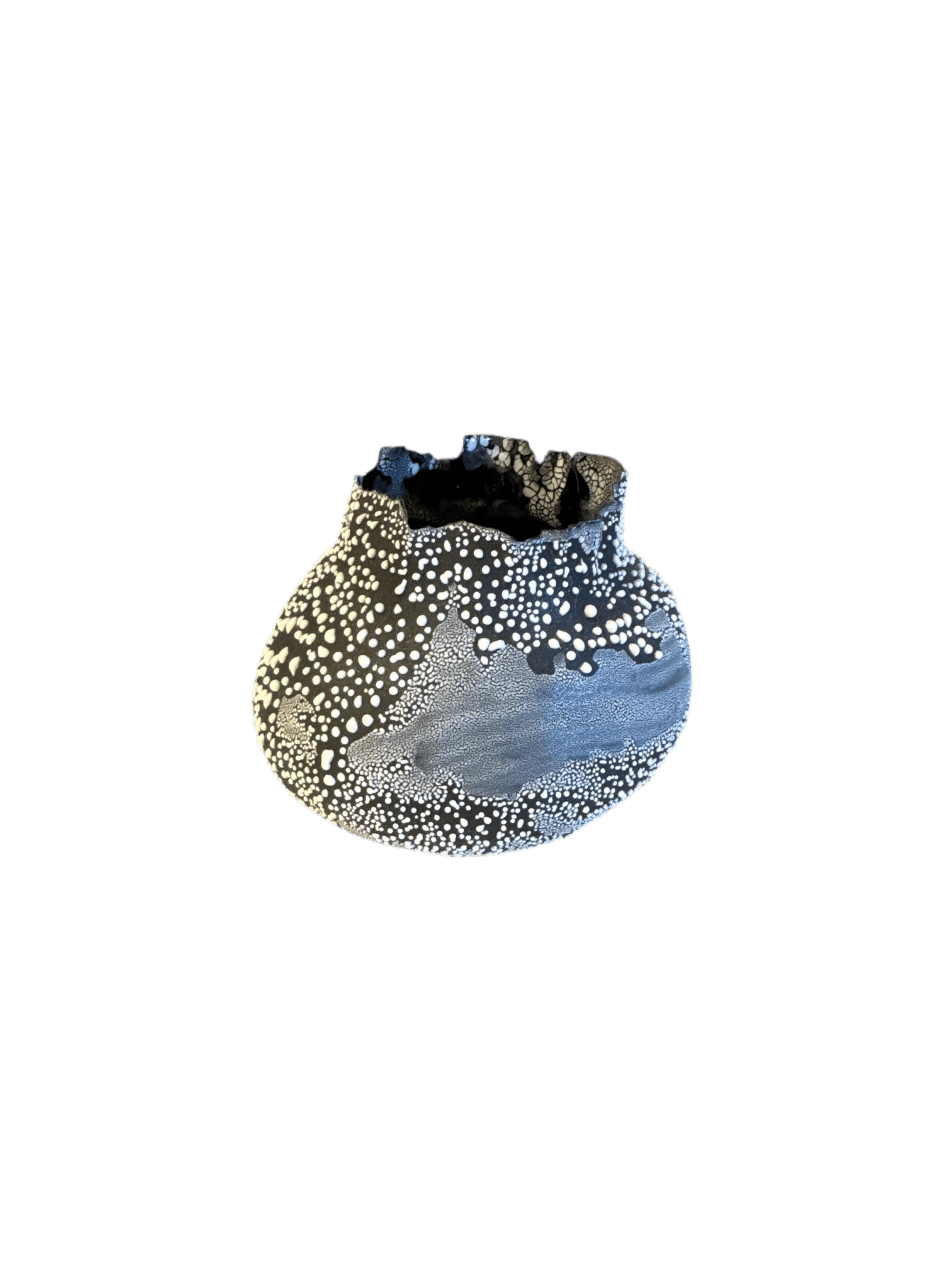 Nathalee Paolinelli Nathalee Paolinelli - Small Orb Black Matte With White Lichen(NP0004) La Bomba Floristry Vancouver Canada Nathalee Paolinelli - Small Orb Black Matte With White Lichen(NP0004)