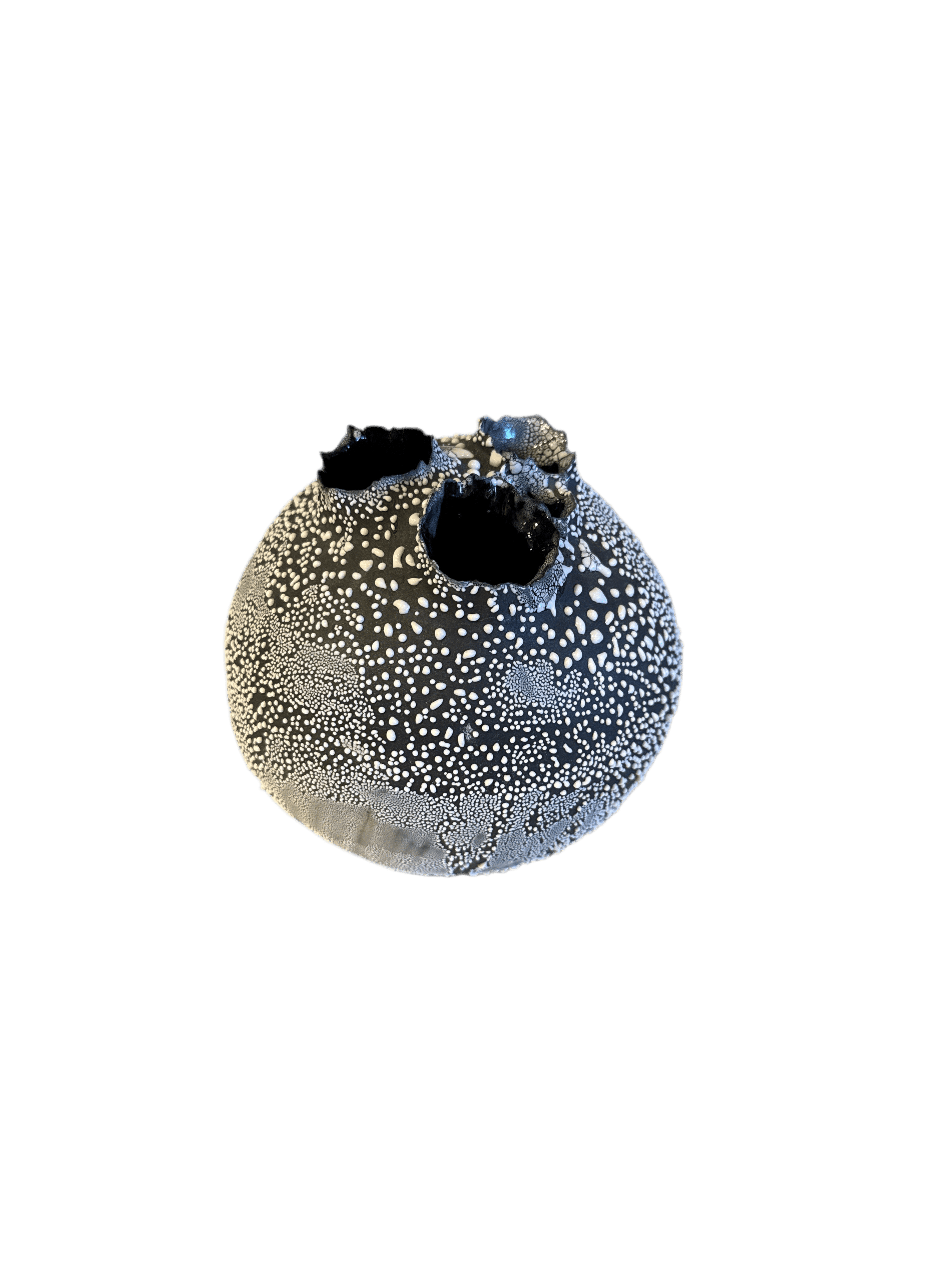 Nathalee Paolinelli Nathalee Paolinelli - Torn Orb Black Matte With White Lichen (NP0013) La Bomba Floristry Vancouver Canada Nathalee Paolinelli - Torn Orb Black Matte With White Lichen (NP0013)