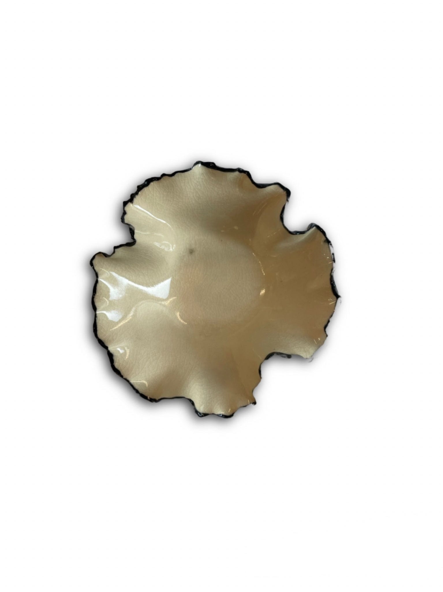 Nathalee Paolinelli Nathalee Paolinelli - Torn Ruffle Bowl in Cream with Black Rim La Bomba Floristry Vancouver Canada