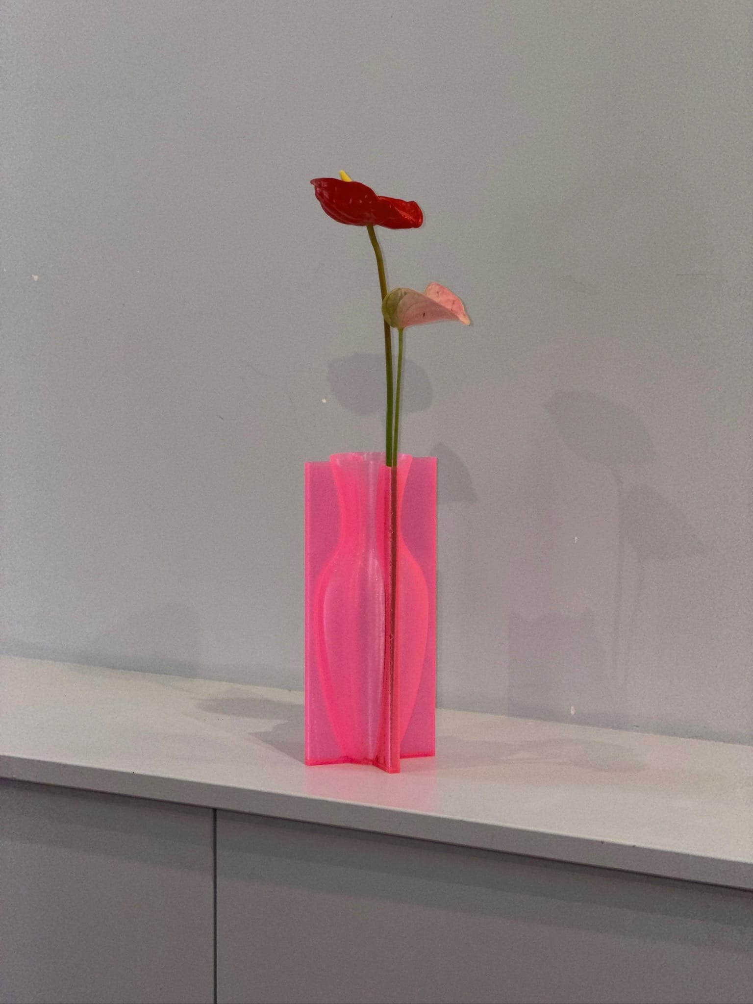 Stooludio Vessels Stooludio Vessel — Pink Fin La Bomba Floristry Vancouver Canada Stooludio Vessel — Pink Fin