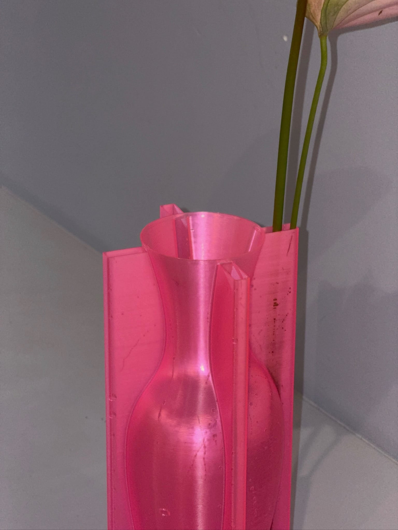 Stooludio Vessels Stooludio Vessel — Pink Fin La Bomba Floristry Vancouver Canada Stooludio Vessel — Pink Fin